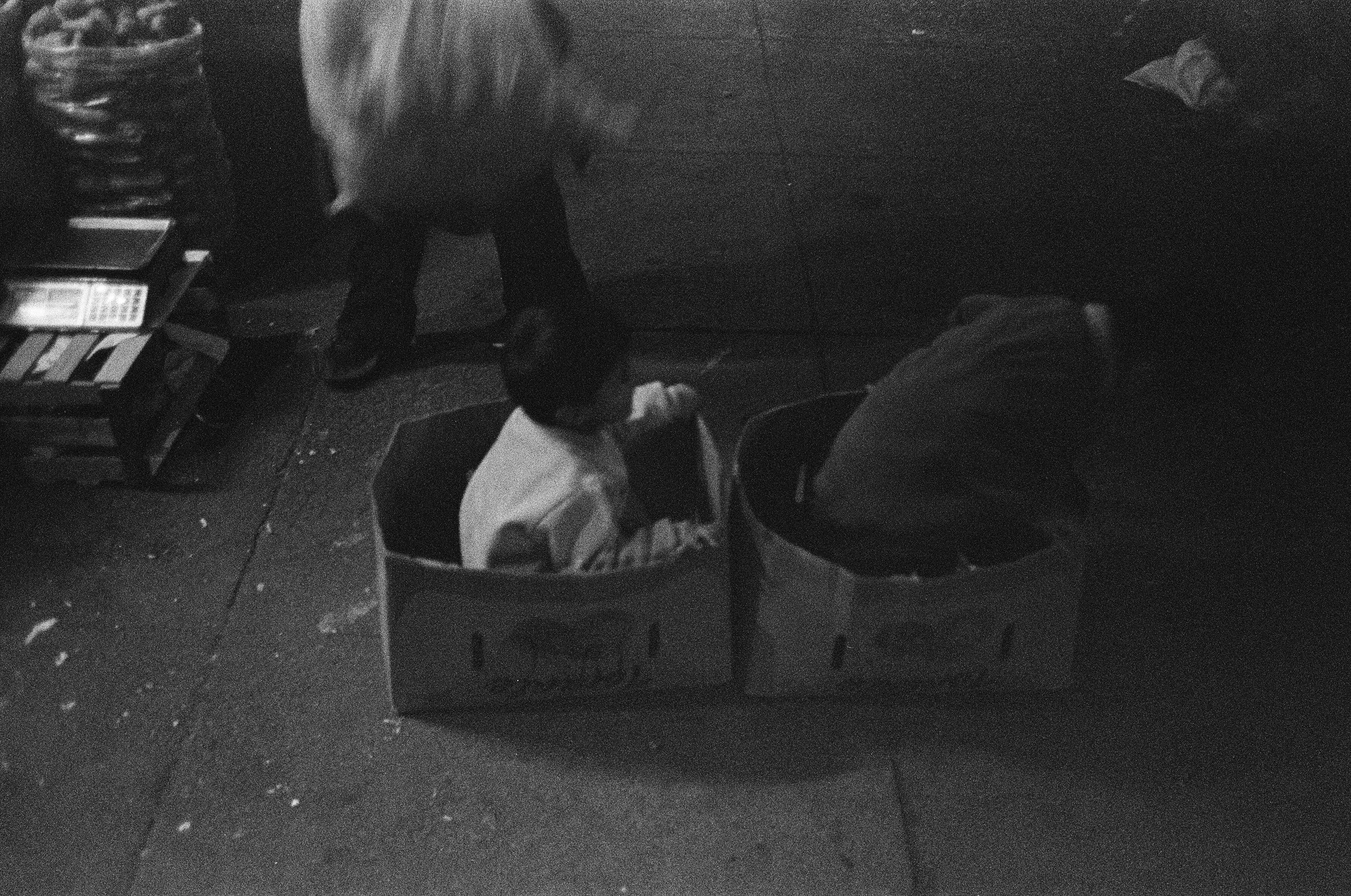 20070028 edit copy.jpg