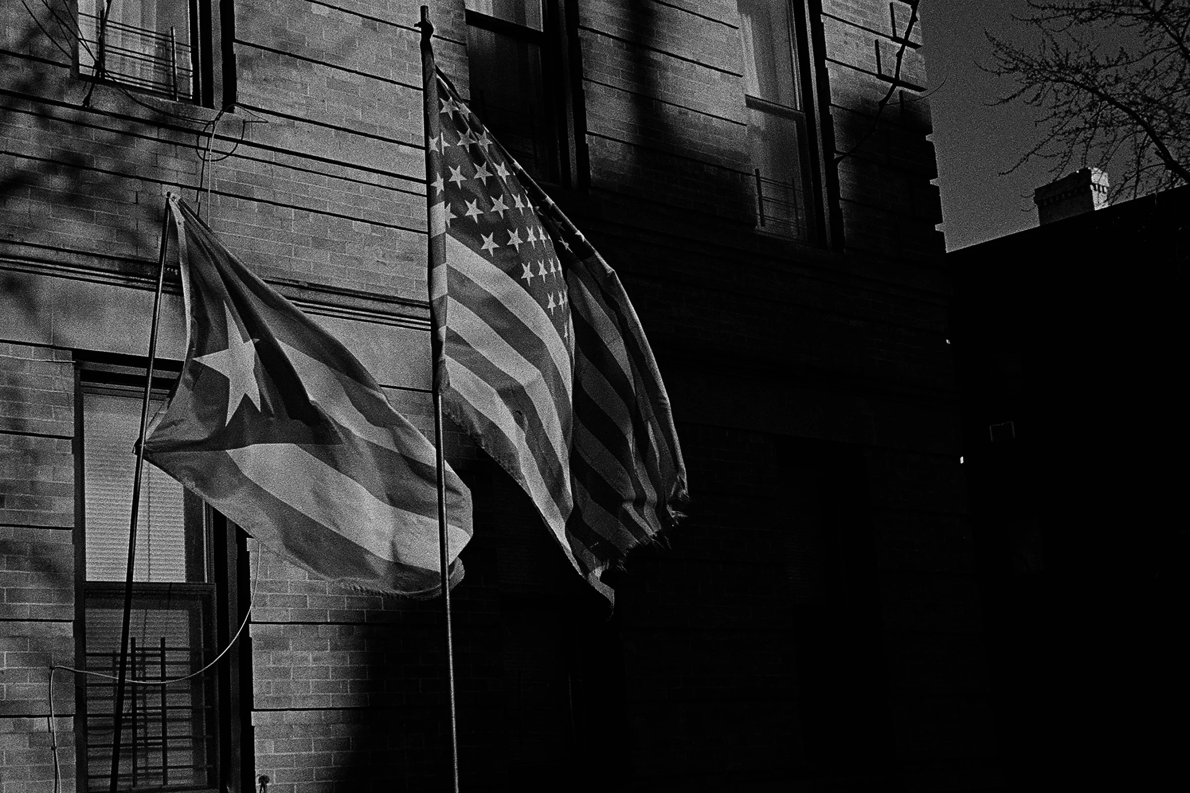 000004140015 edit copy.jpg