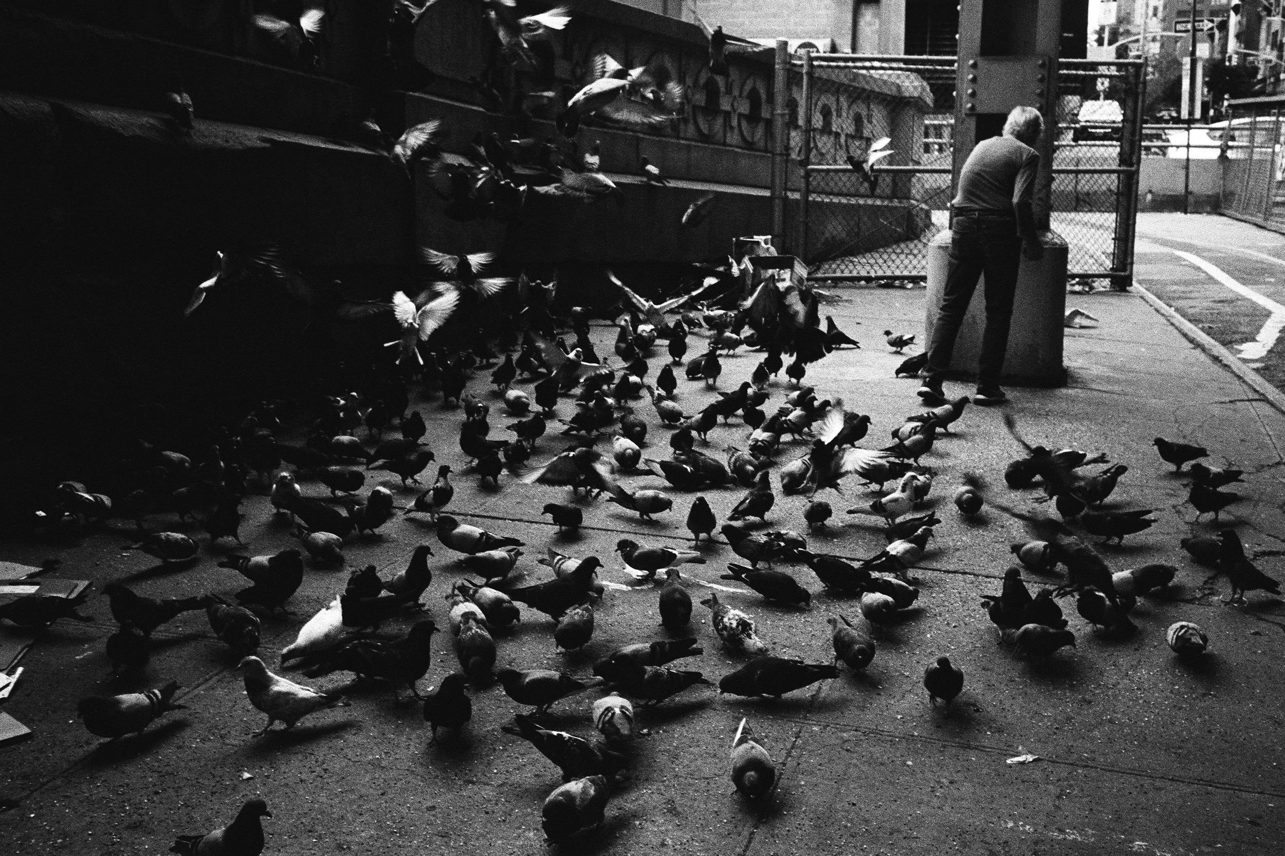 76680004 edit 1 copy.jpg