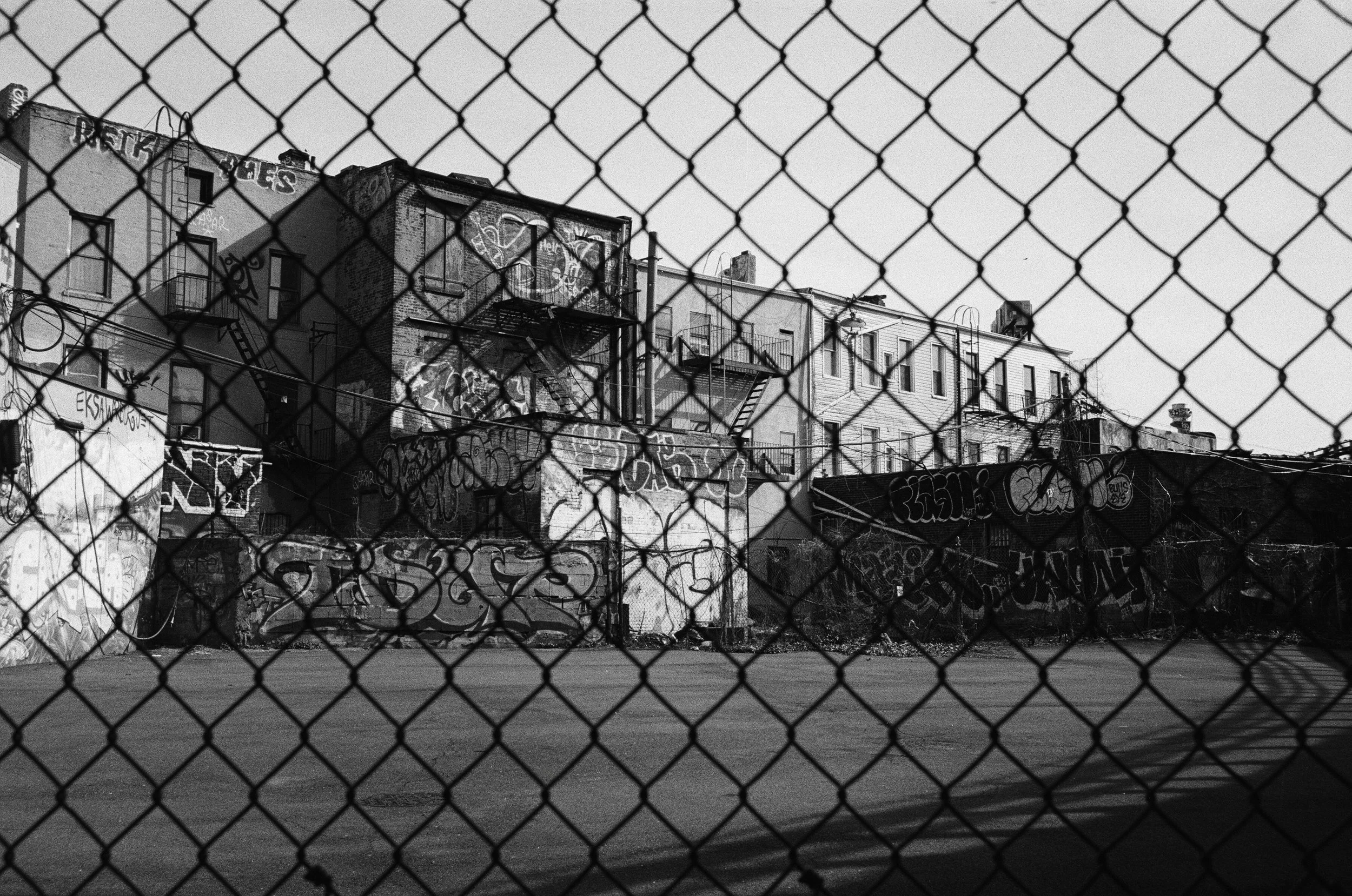 82480038 edit copy.jpg