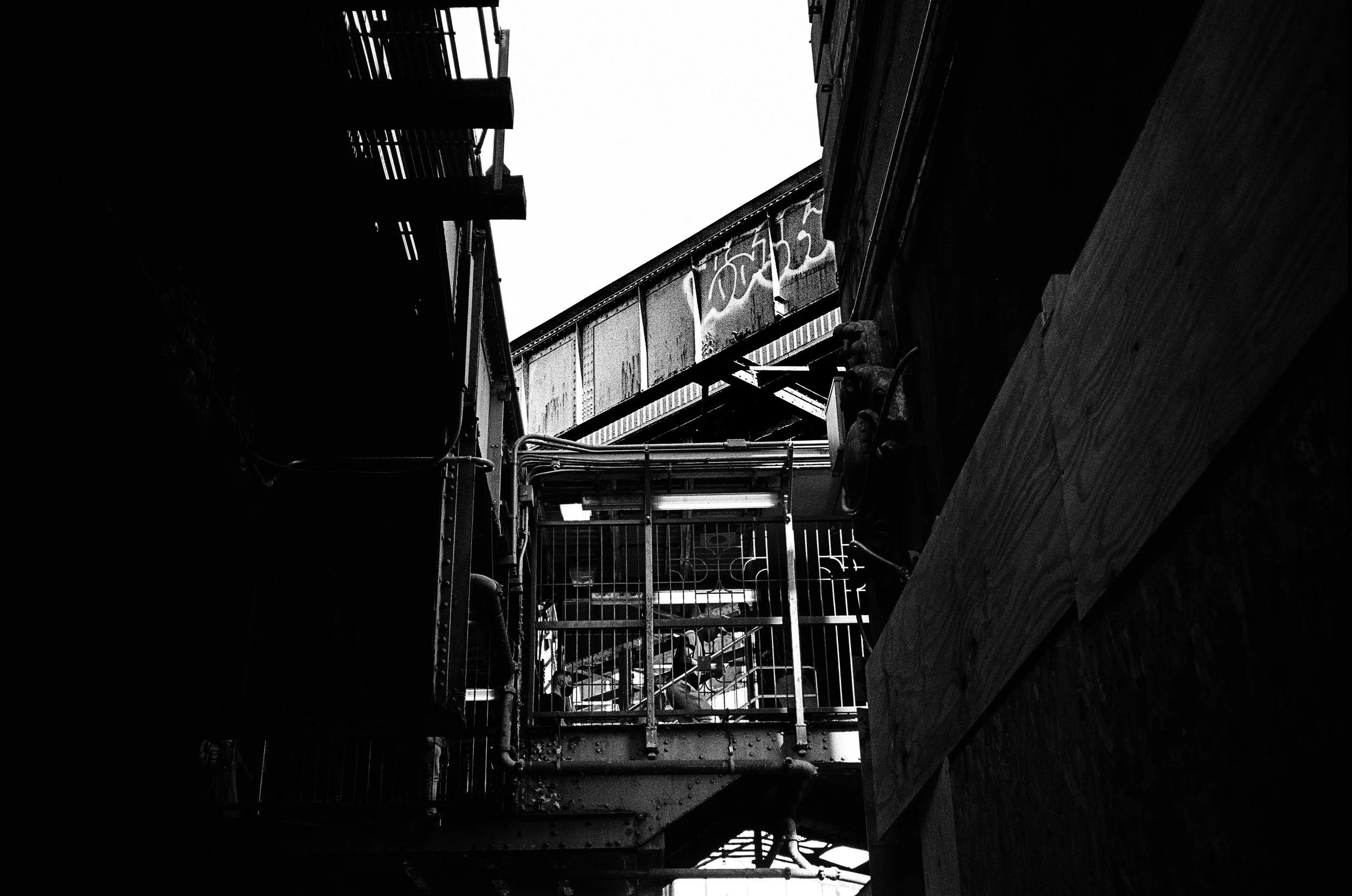 64910023 Edit 2 copy.jpg