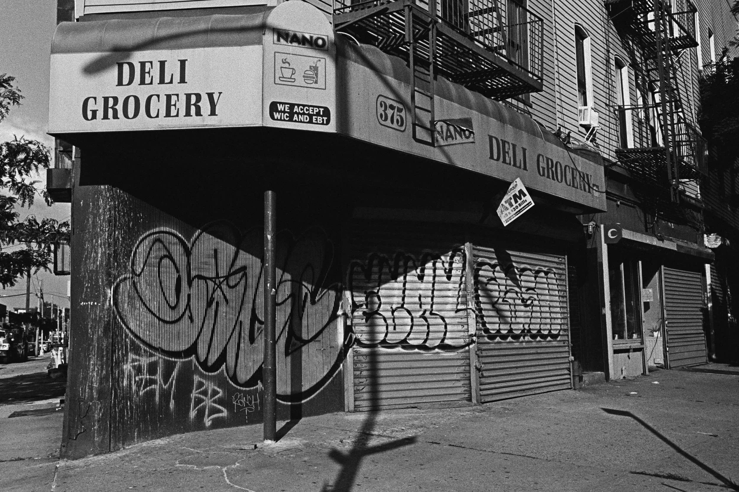 02360006 edit copy.jpg