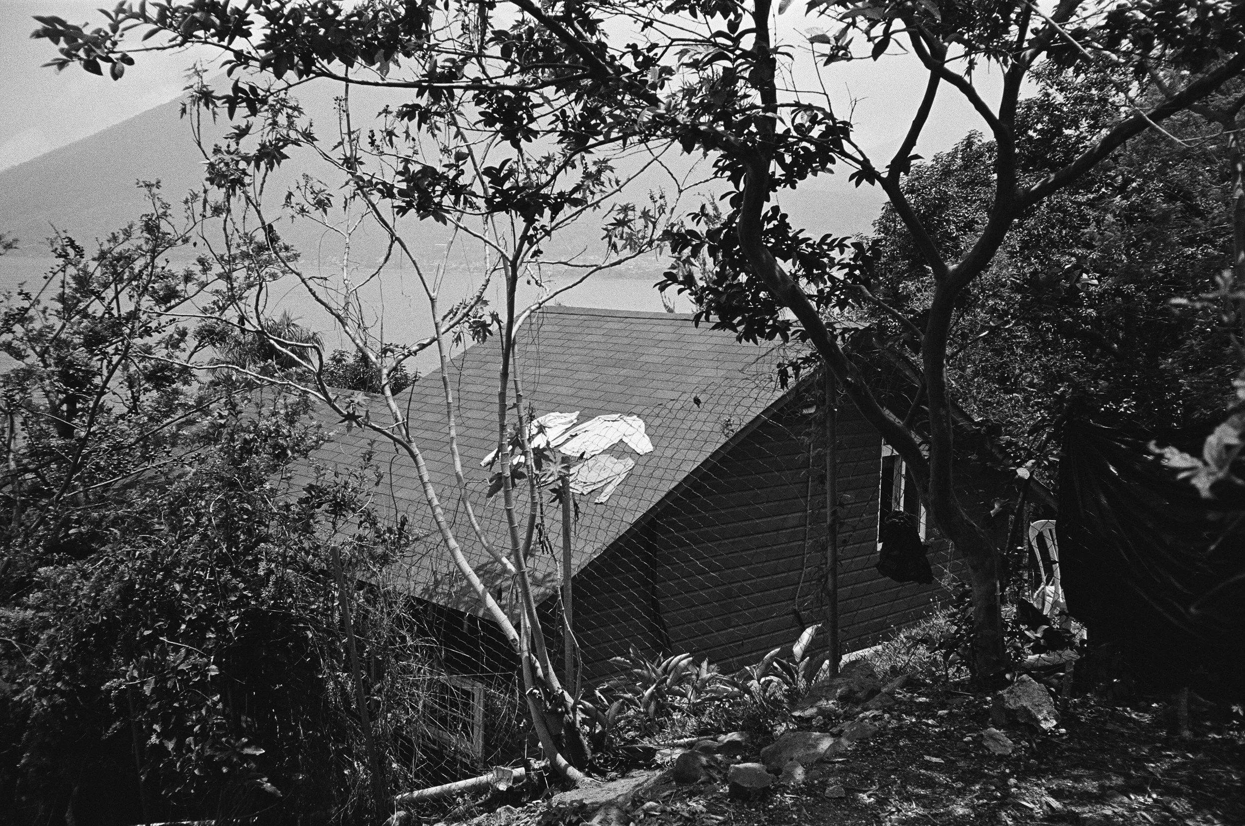 65940002 edit copy.jpg