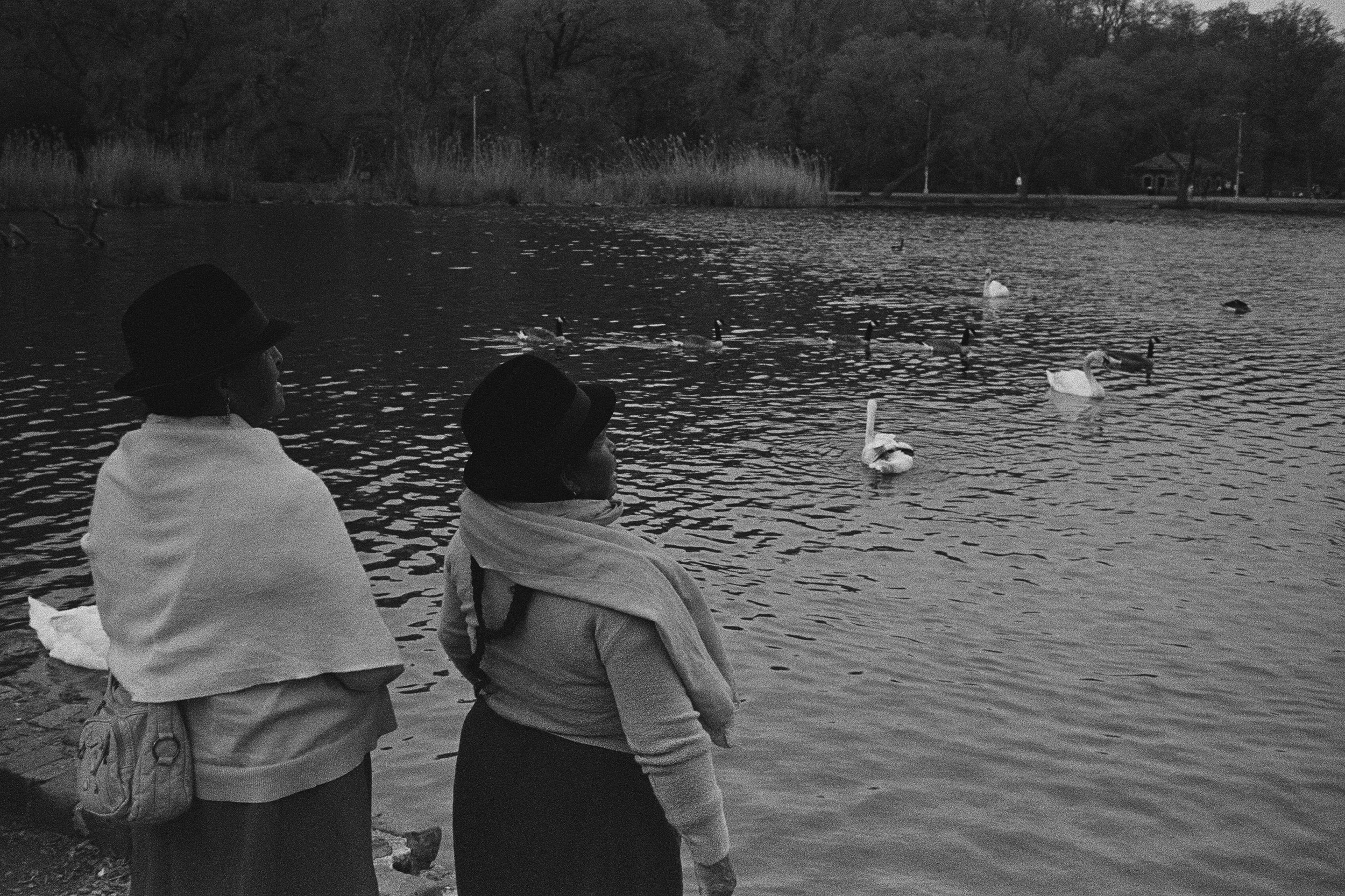 36690025 edit copy.jpg