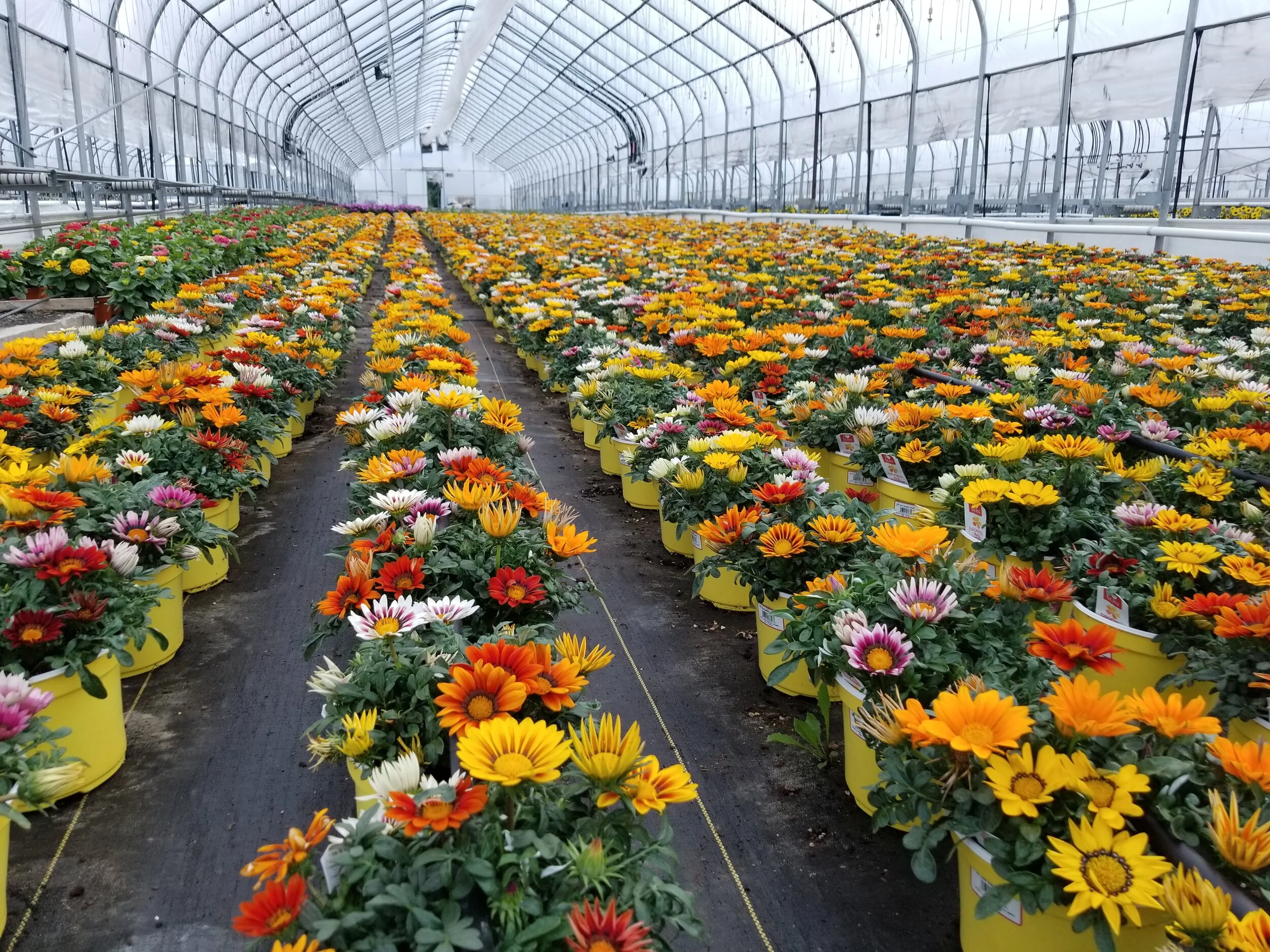 Garden State Growers