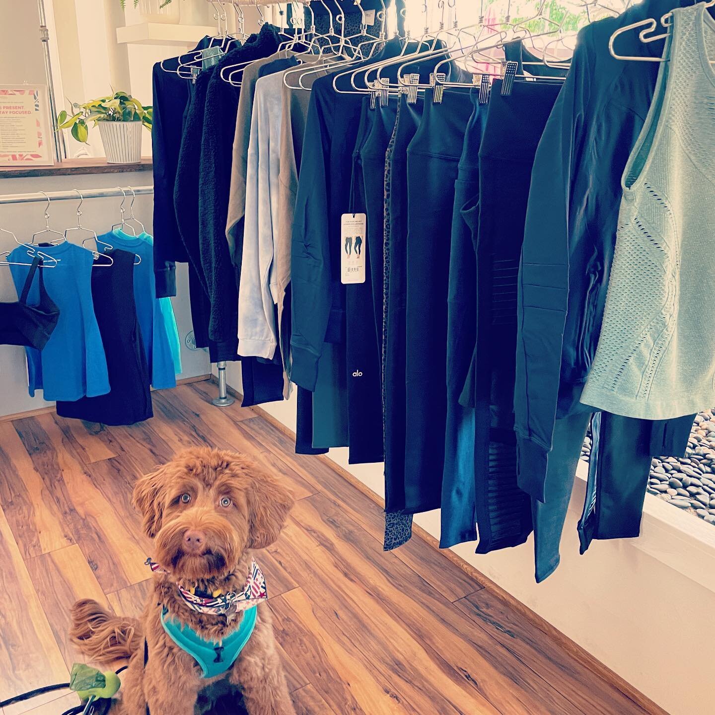Ready to revamp your workout wardrobe? LOTS of new retail from @aloyoga and more to come!🙌🏼
-
Checkout our must-haves in the boutique TODAY! Open for shopping this week. Today 8:30-1:30 pm, Wednesday 4:30-6:30 PM and over the weekend! 😃