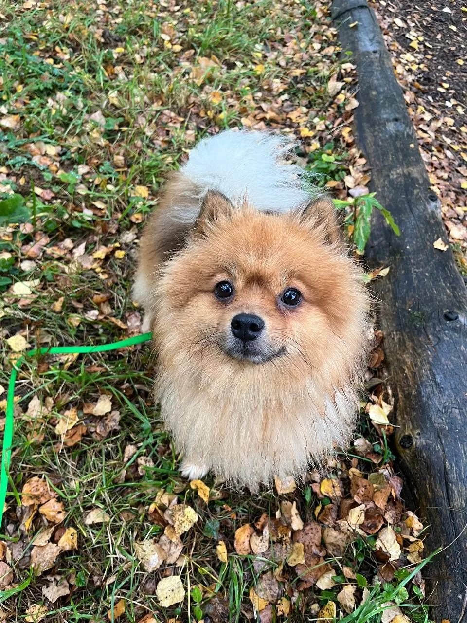 Ella.jpg