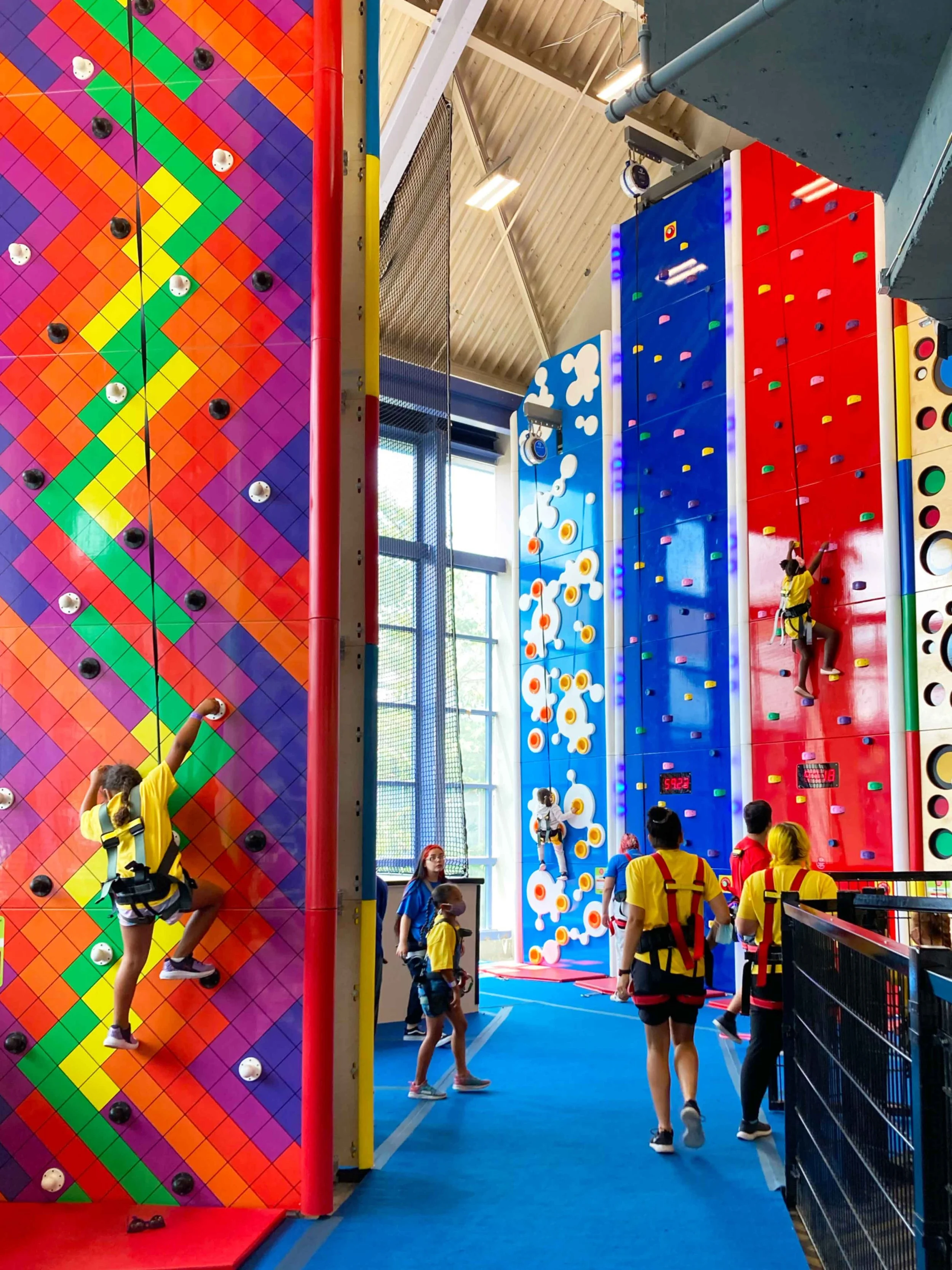 Indoor Rock Climbing in San Antonio
