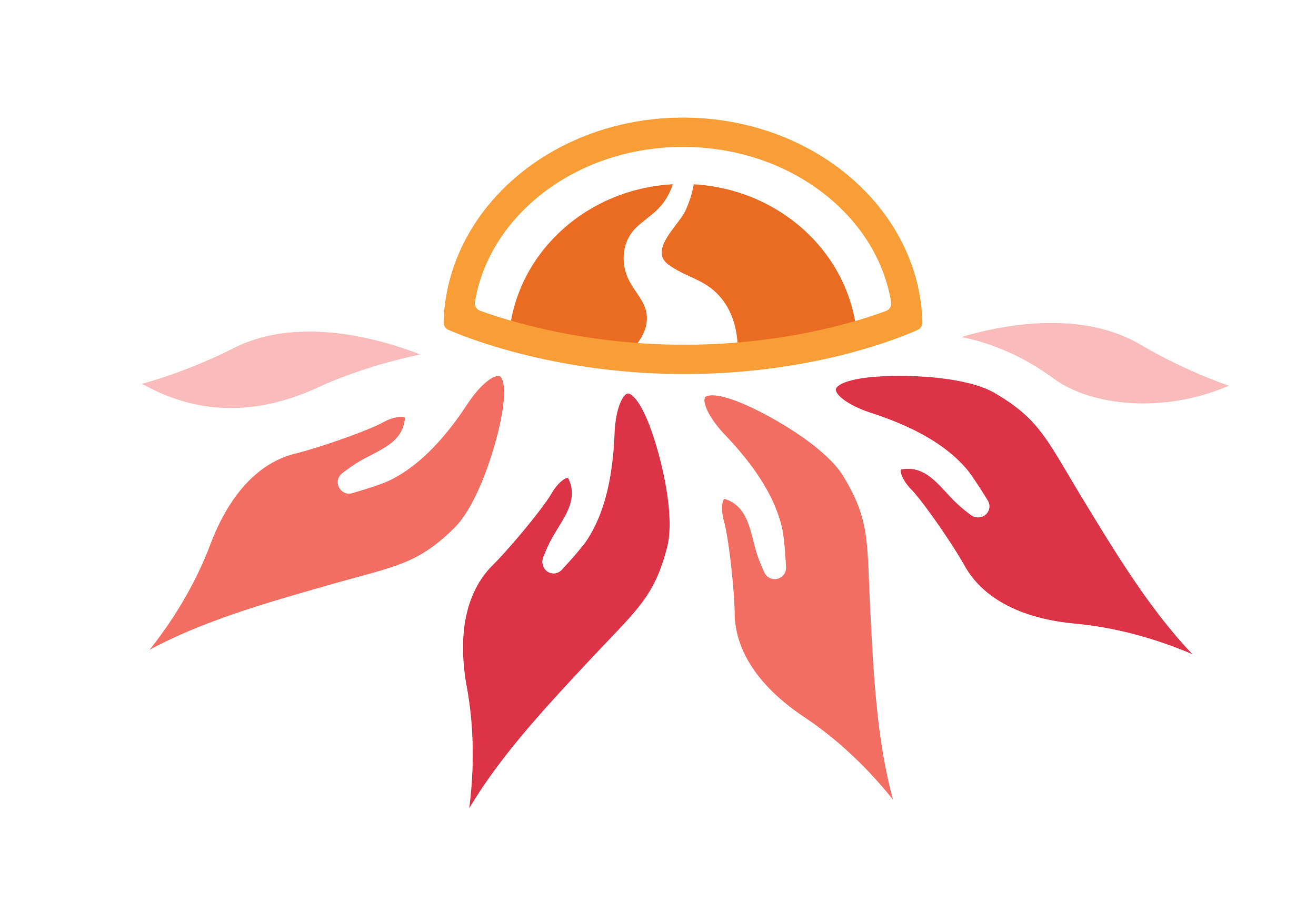 Moving Beyond Awareness Curriculum