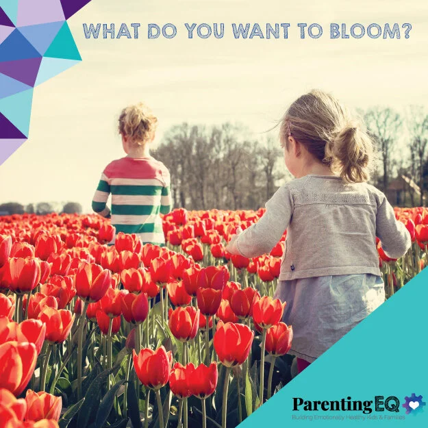 What Do You Want To Bloom?