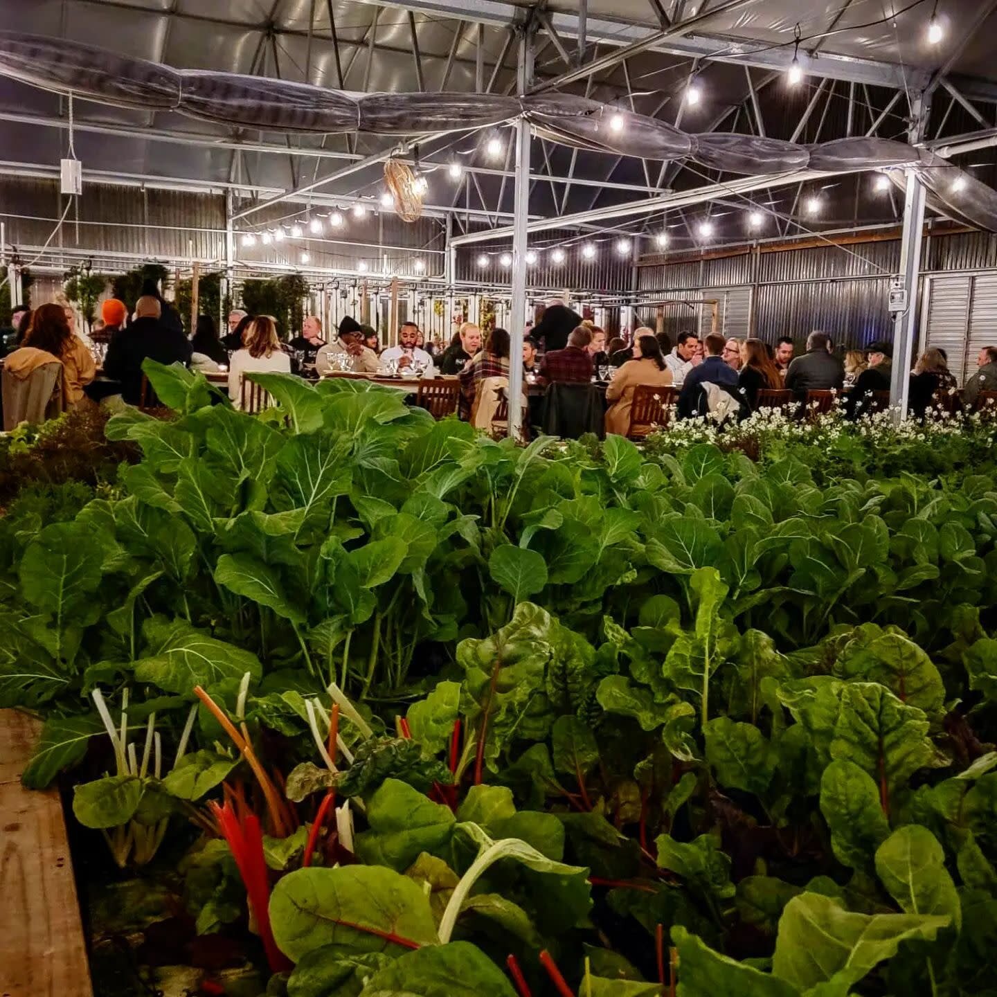 &quot;Local food is the foundation of community, economy, and sustainability.&quot; - Unknown

#dallas #foodie #farm #dfw #farmers #urbanfarm #microgreens #shoplocal #farmershelpingfarmers #profoundfarm #profoundfoods #farmtotable #dallaschef #lucast