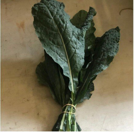 Kale is a good source of vitamin C, beta-carotene, and other antioxidants that can help support immune function and protect against inflammation.

Add some Dinosaur Kale from Misty Moon Farms to your order.

#dallas #foodie #farm #dfw #farmers #urban