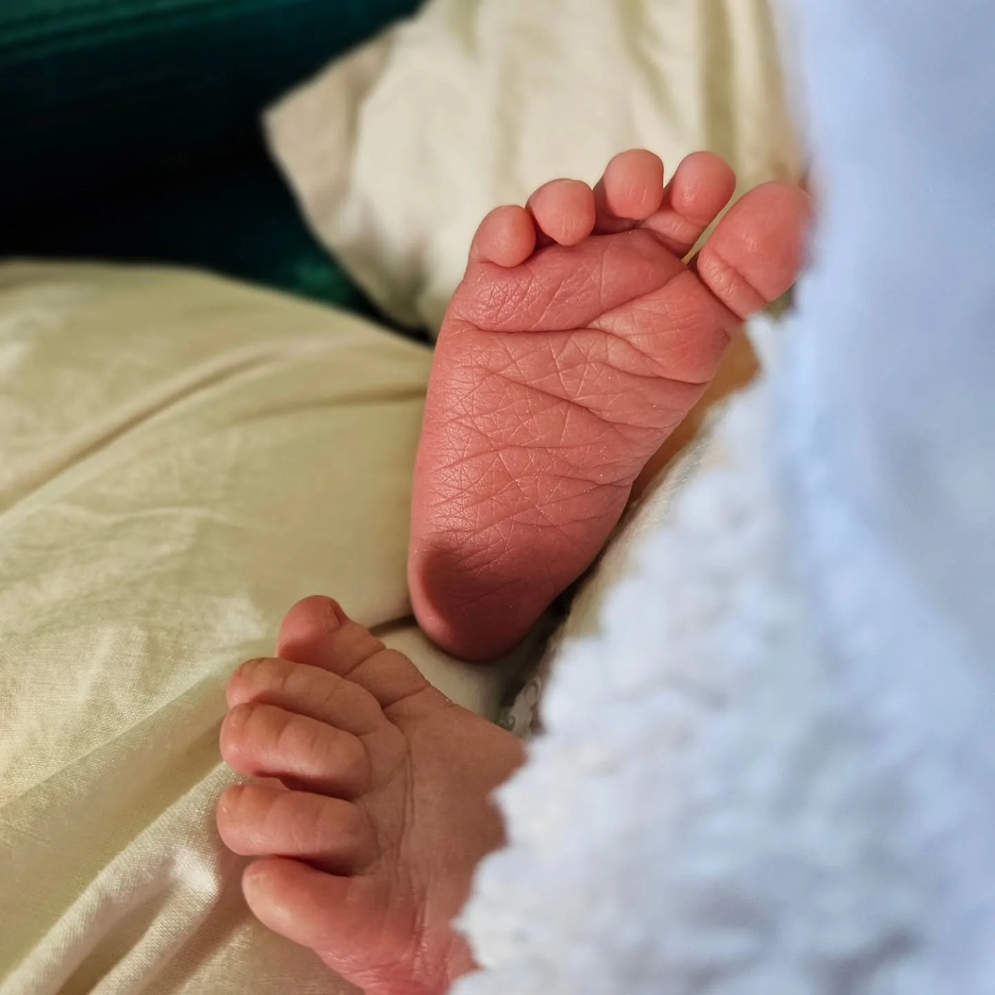 Officially back in my soft vulnerable beautiful chaotic "maternity leave"  postpartum era for the past 2+ weeks☕️🎉😍🫣🫠😬🤤🫩🤱🏽🦸🏽&zwj;♀️🧟&zwj;♀️

Here's a secret--- no matter who you are, what you know, what you do, birth and postpar