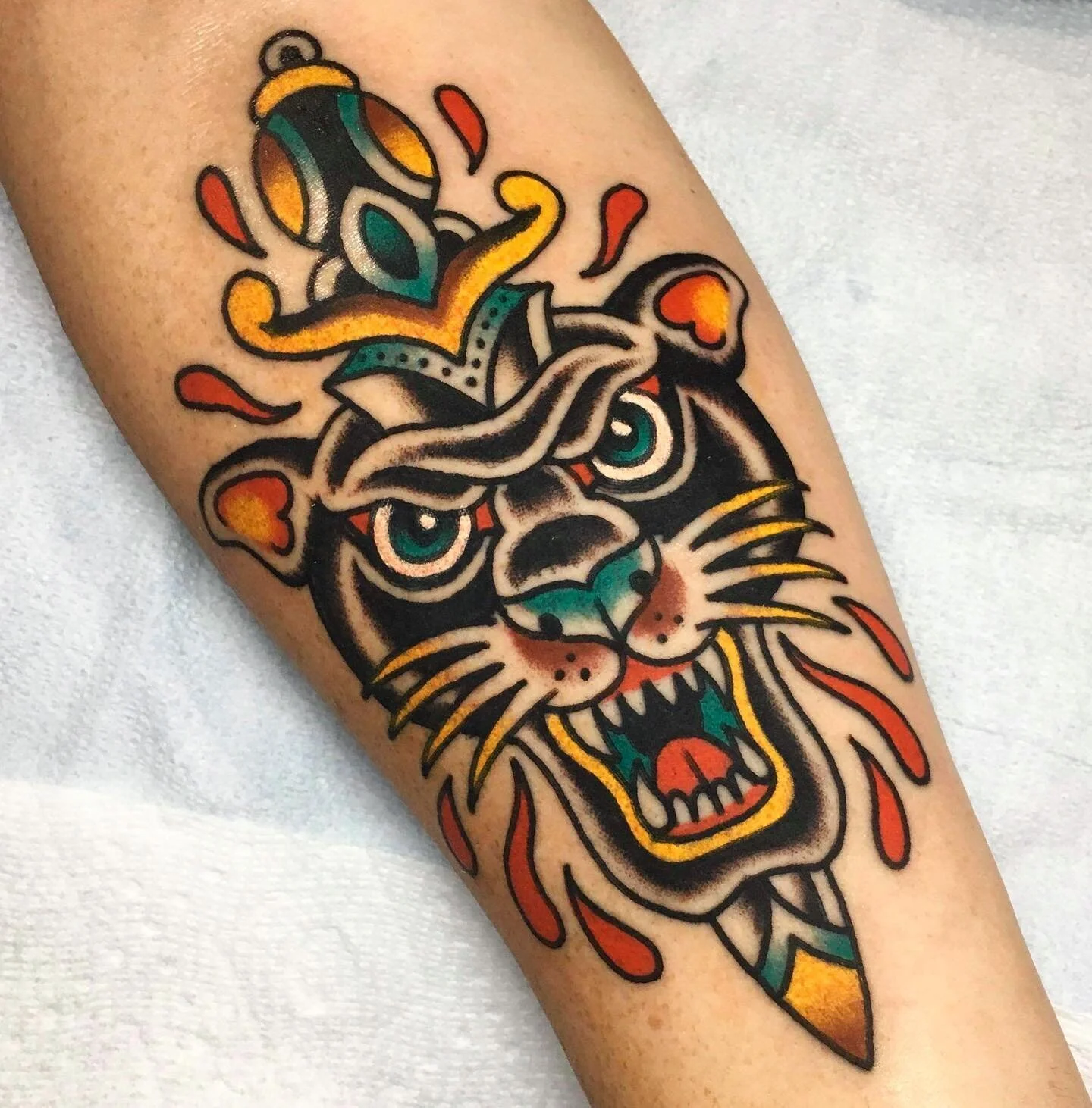 Meowww 🐱 🗡 openings this month, DM me for availability! #tattoo #tattoos #traditionaltattoo #panthertattoo #daggertattoo #tradisrad #radtrad #colortattoo #usatraditional #tradworkers #ladytattooers #knoxvilletattoo #boldwillhold #bright_and_bold #b