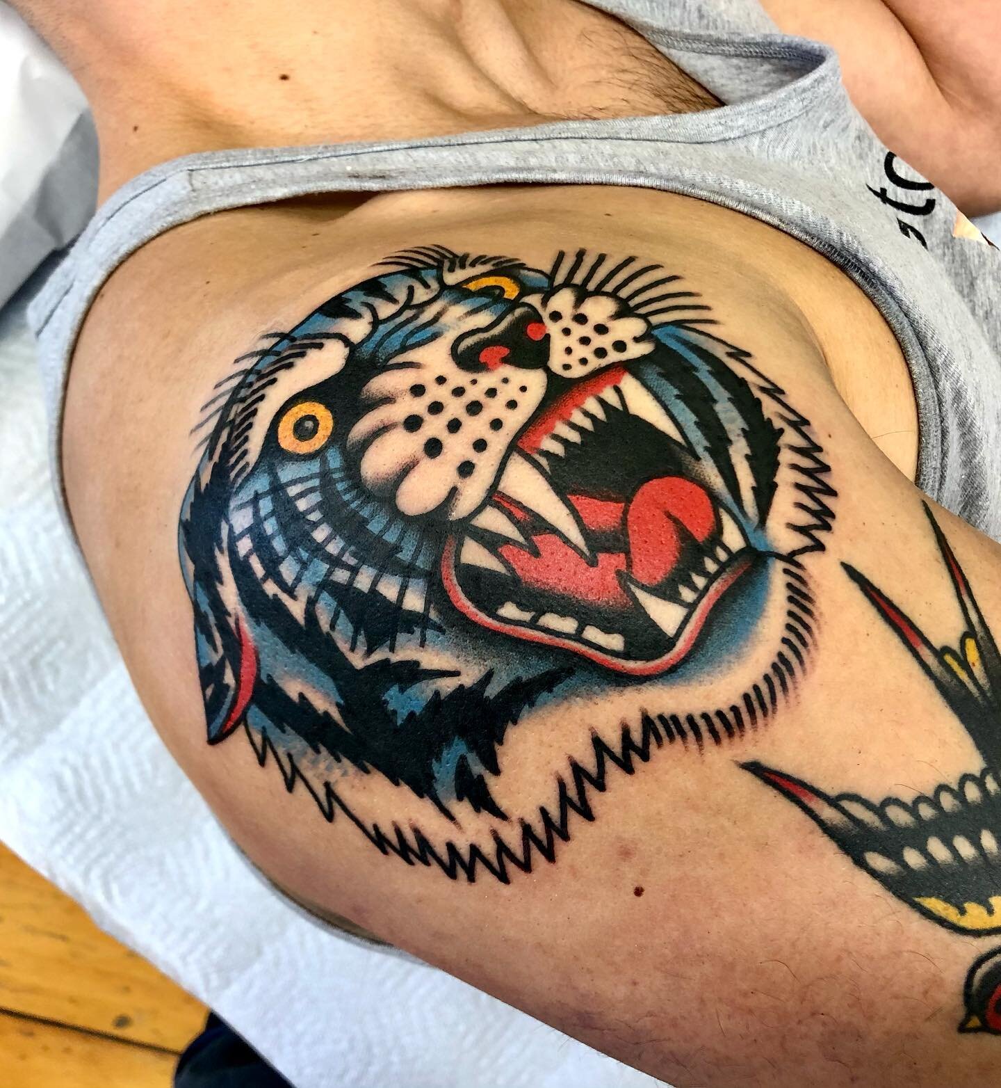 Got to do a fun blue version of this older flash of mine! Tigers are great. Thanks for looking! #tattoo #tattoos #traditionaltattoos #bright_and_bold #skinart #oldlines #oldschooltattoo #traditionalclub #tattooing #tattooart #tradworkers #tradtattoo 