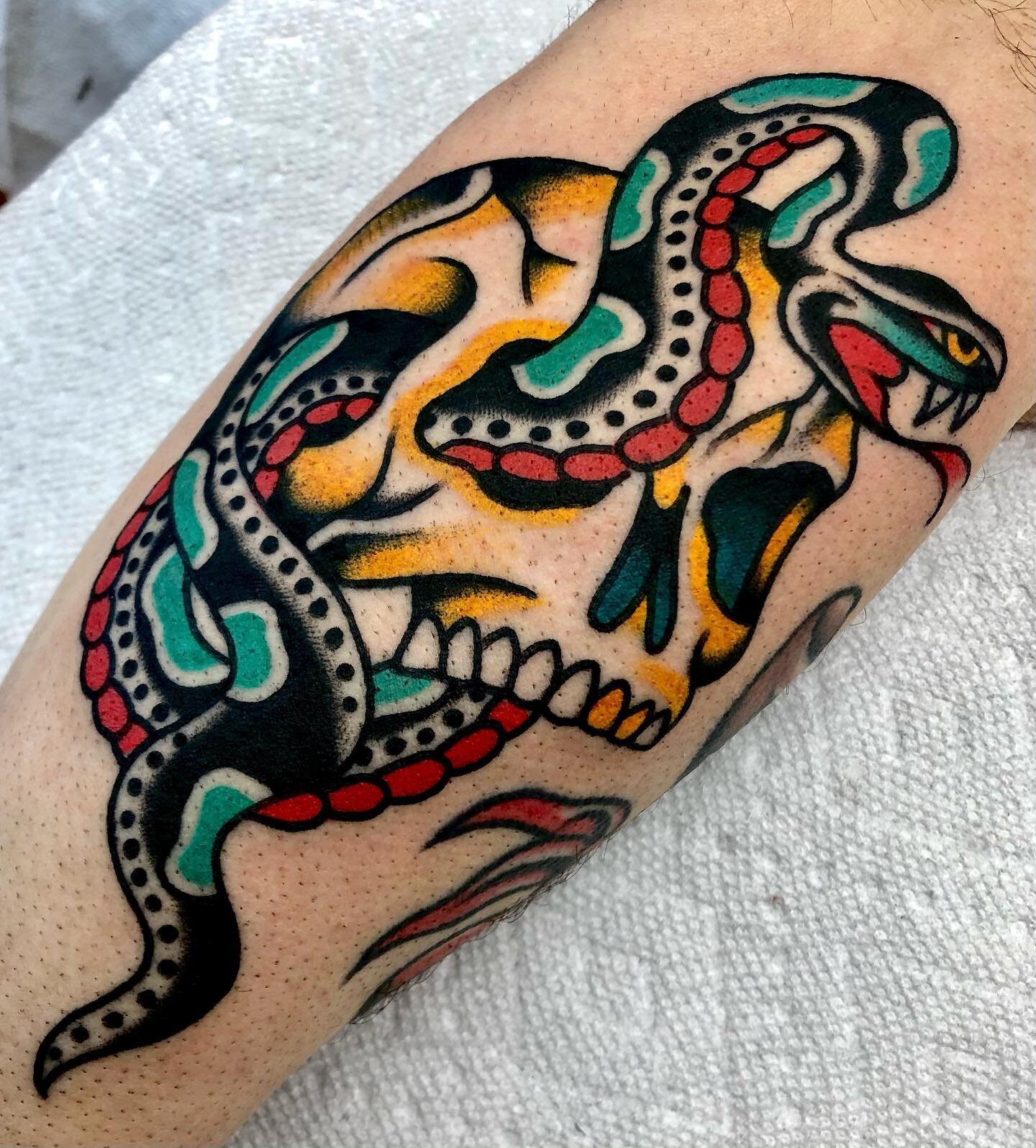 Skull and snake from last week! Took a couple cool pieces off of our wall and combined them. Thanks for looking! #tattoo #tattoos #traditionaltattoos #bright_and_bold #skinart #oldlines #oldschooltattoo #traditionalclub #tattooing #tattooart #tradwor