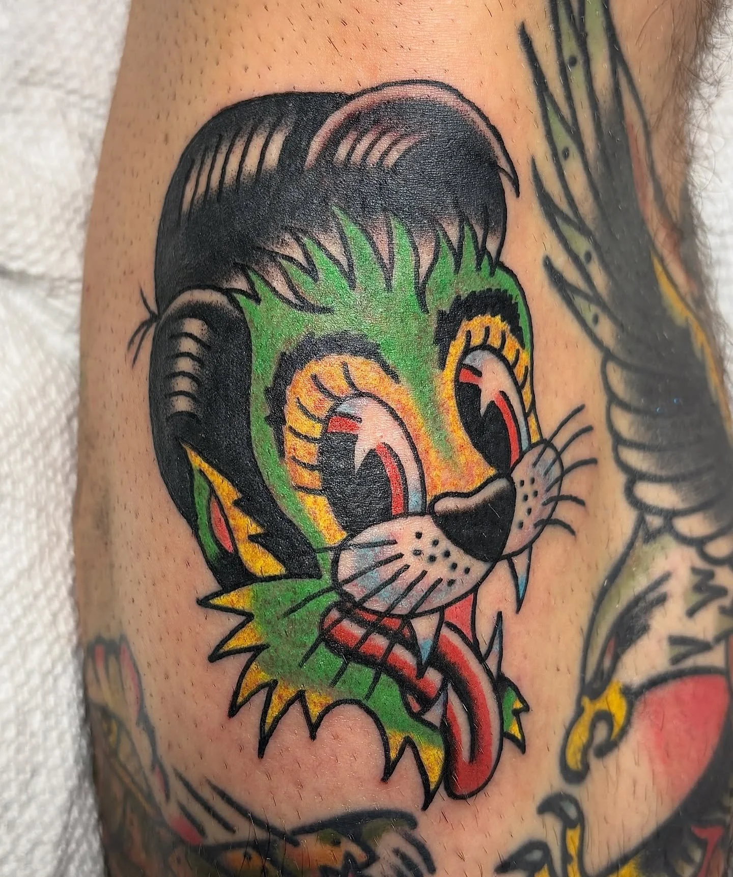 Shoot me a DM to book your next tattoo! Flash or custom let&rsquo;s make it happen😸
.
.
.
.
.
#knoxville #knoxvilletn #knoxvilletattoos #traditionaltattoos #straycats #knoxvilletattooartist