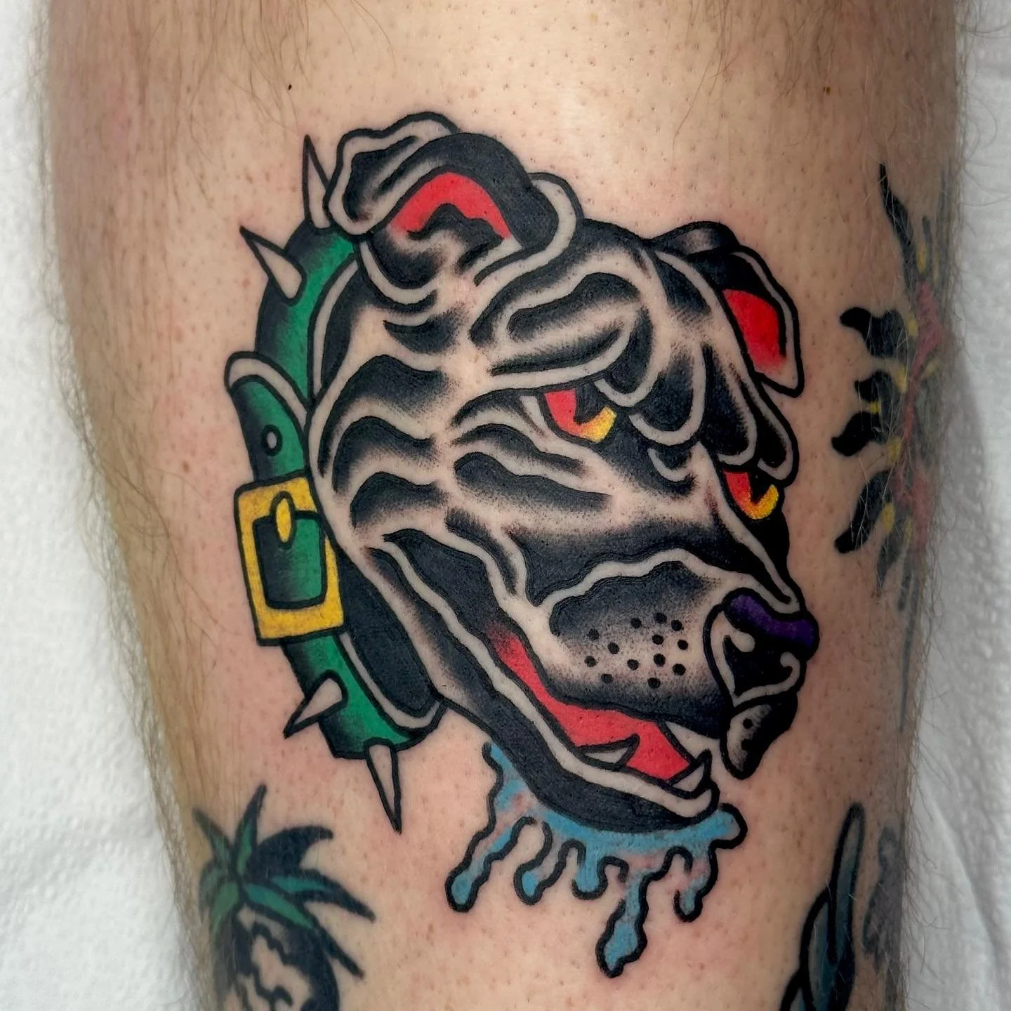 Fun one on Dakota! DM to book November 🎭