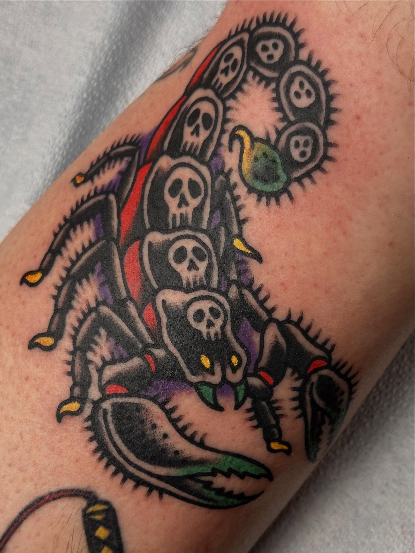 Scorpions are the coolest. Done at @greatwolftattoo