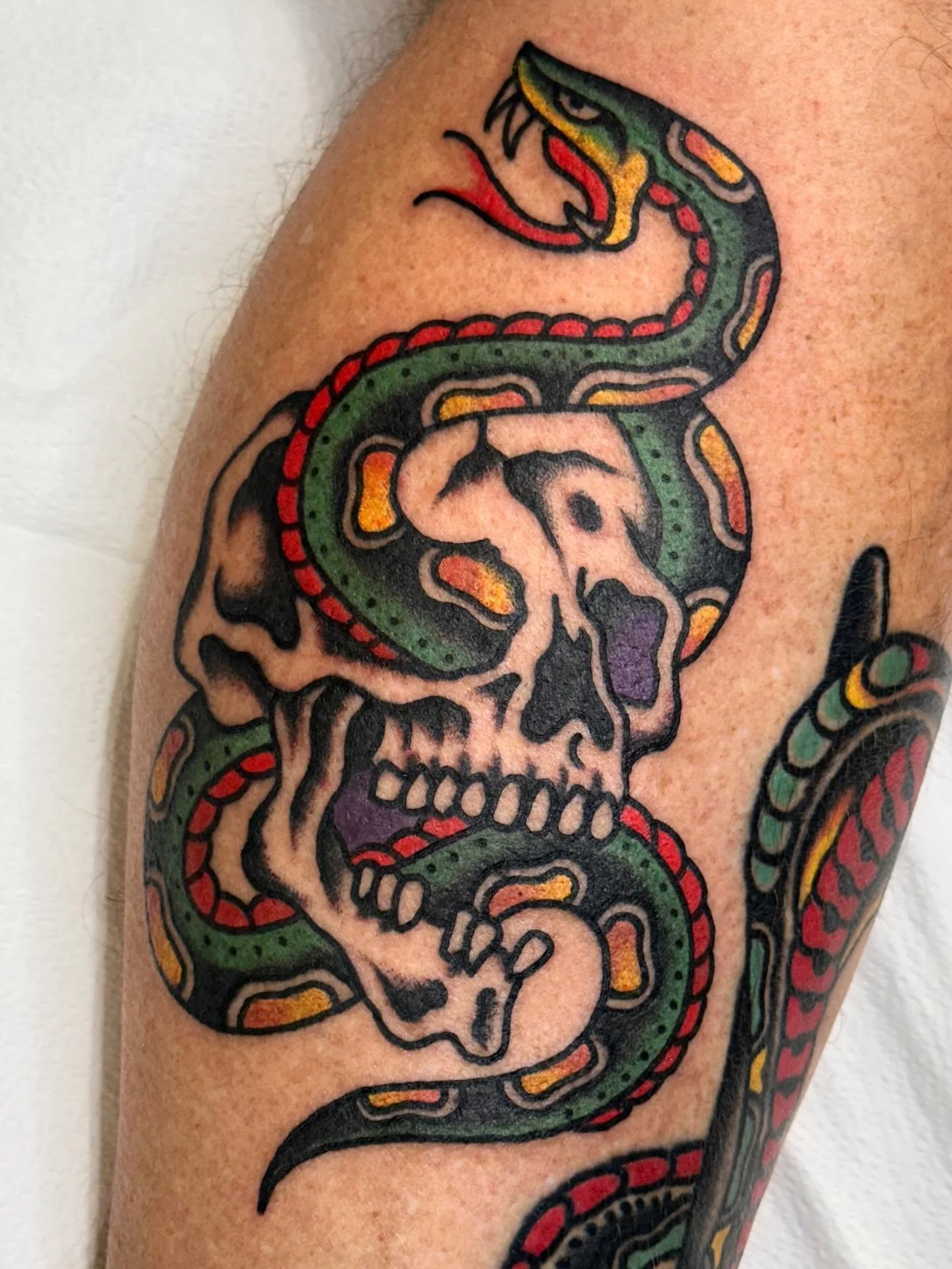 Snakes and skulls all day. Dm to book!