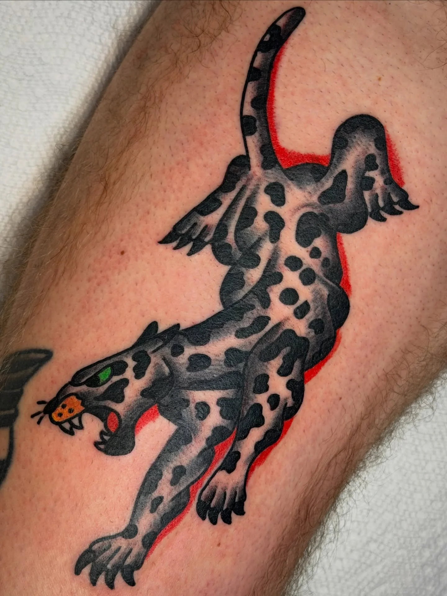 Tats DM2BOOK @riversidetattootn #knoxvilletattooartist #knoxvilletattooshop #knoxvilletattoo #traditionaltattoo #tennesseetattooartist