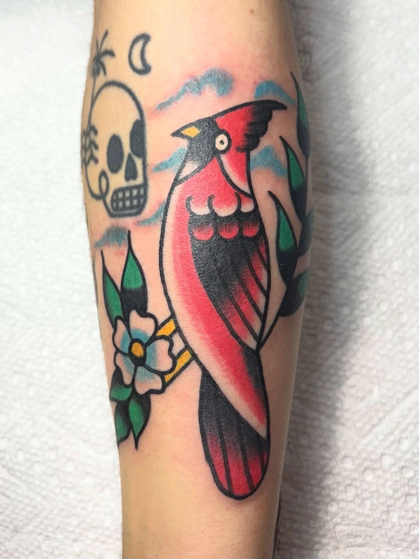 Cardinal from my flash! Shoot me a DM to book that next apt. Plenty of designs ready to pick from or bring in your own ideas!!