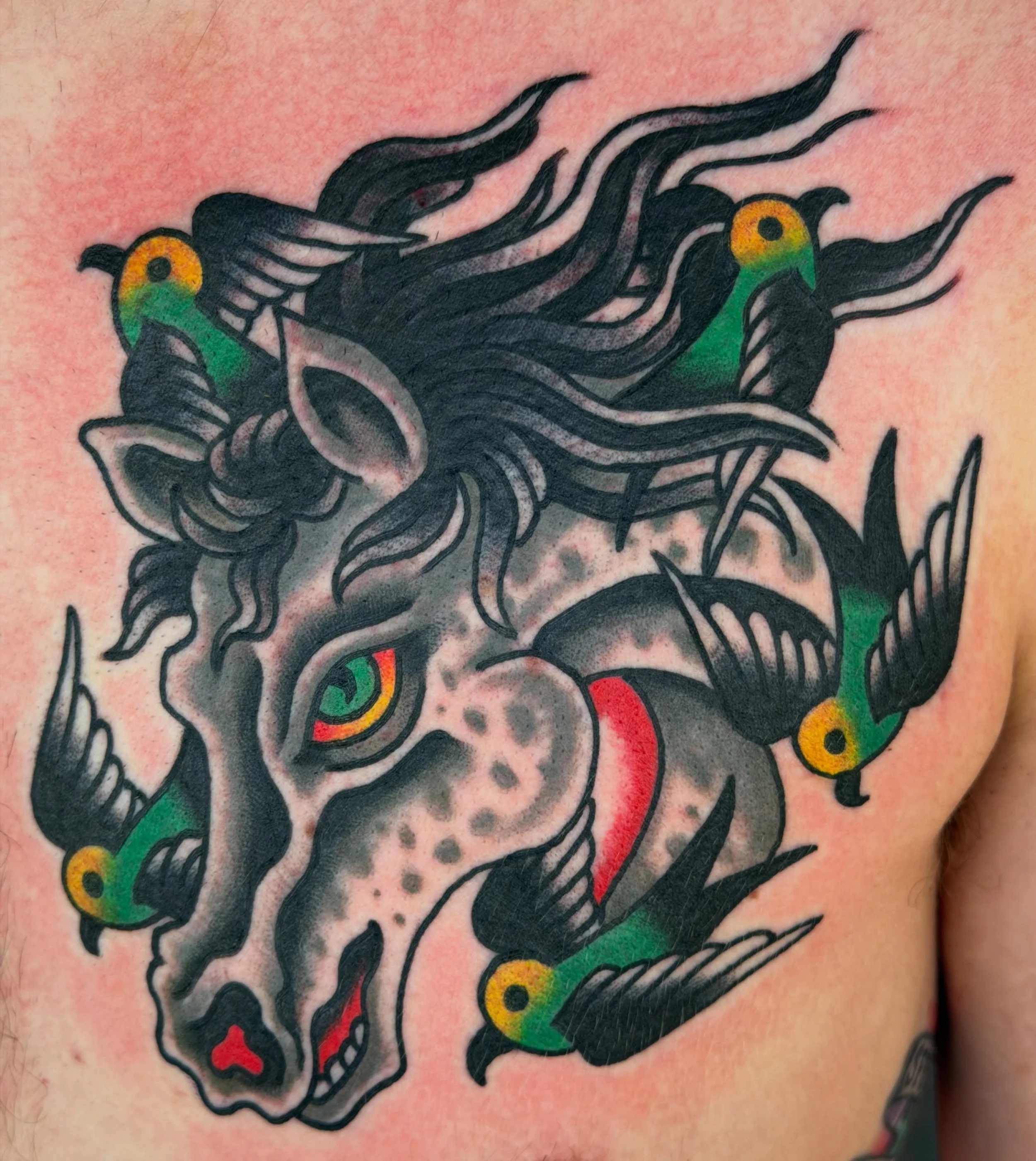 🐴 🐦 🐯 @riversidetattooclub 
Swipe for Knoxville availability and travel dates.