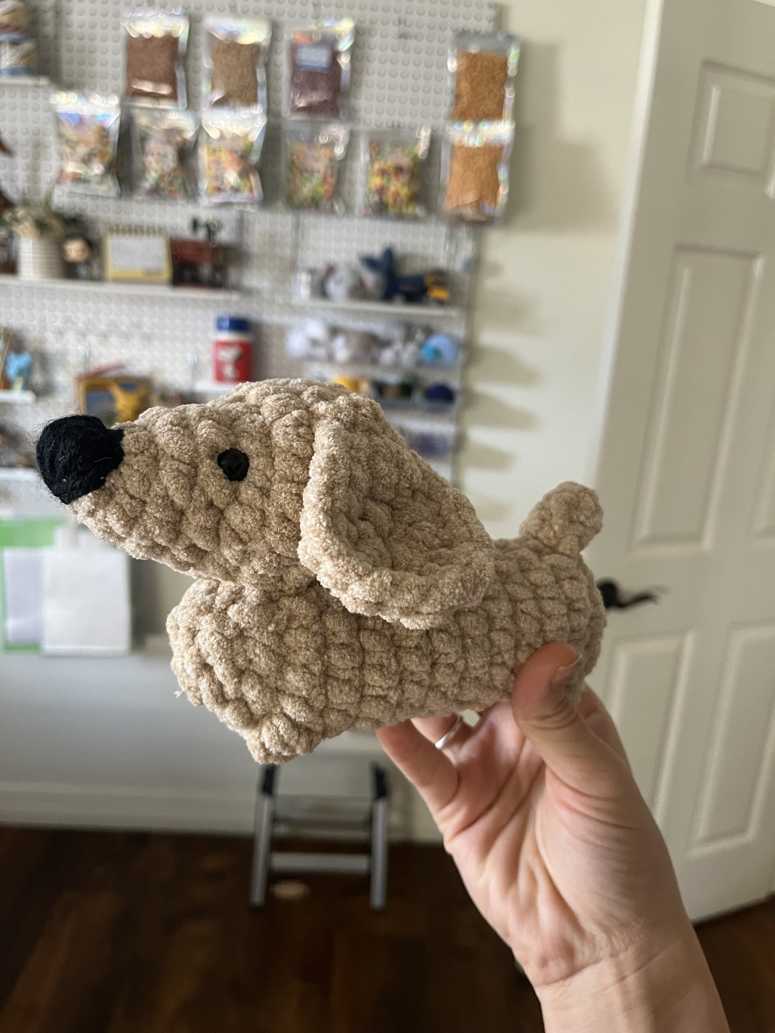 Dachshund