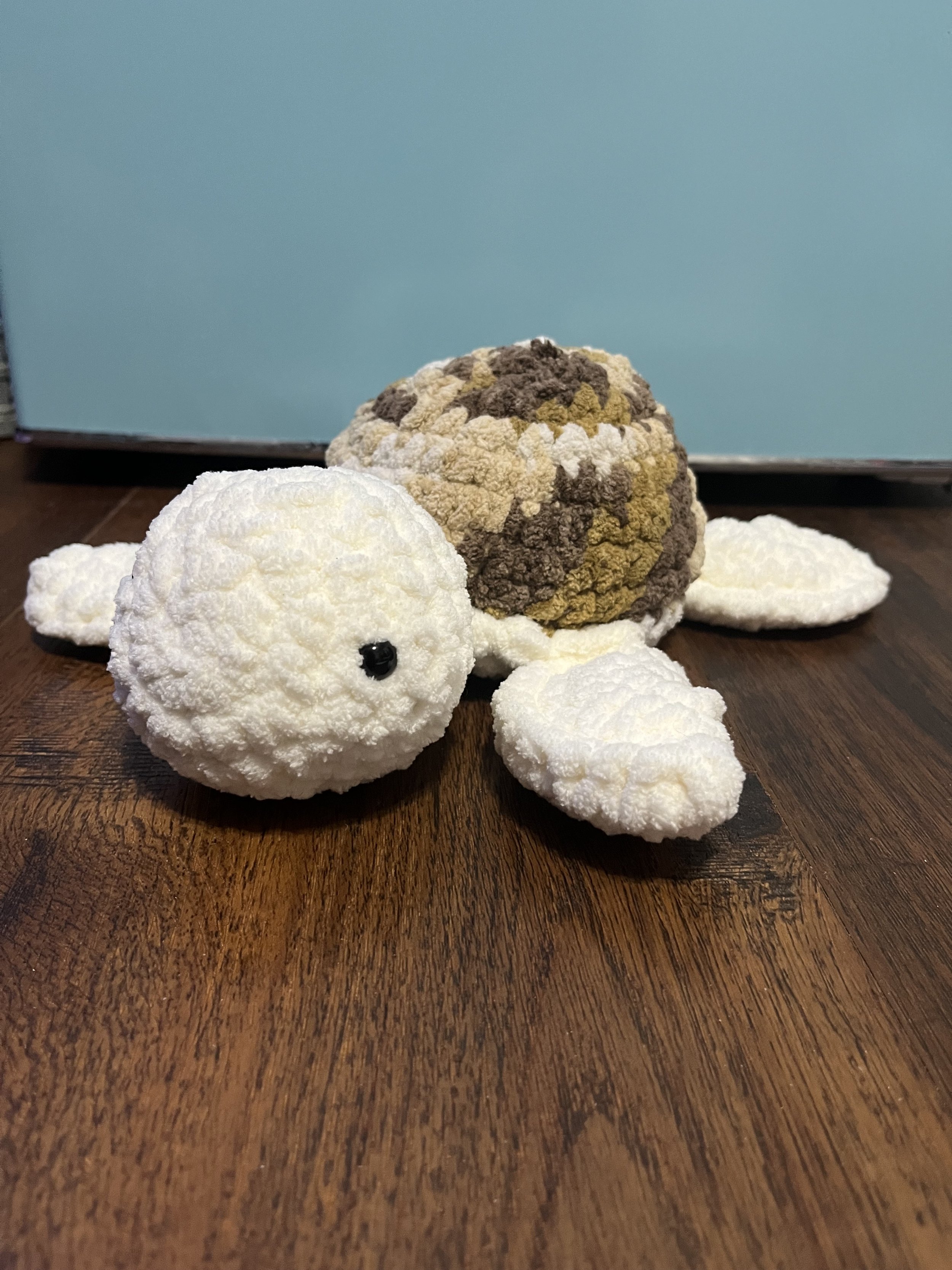 Floppy Turtle