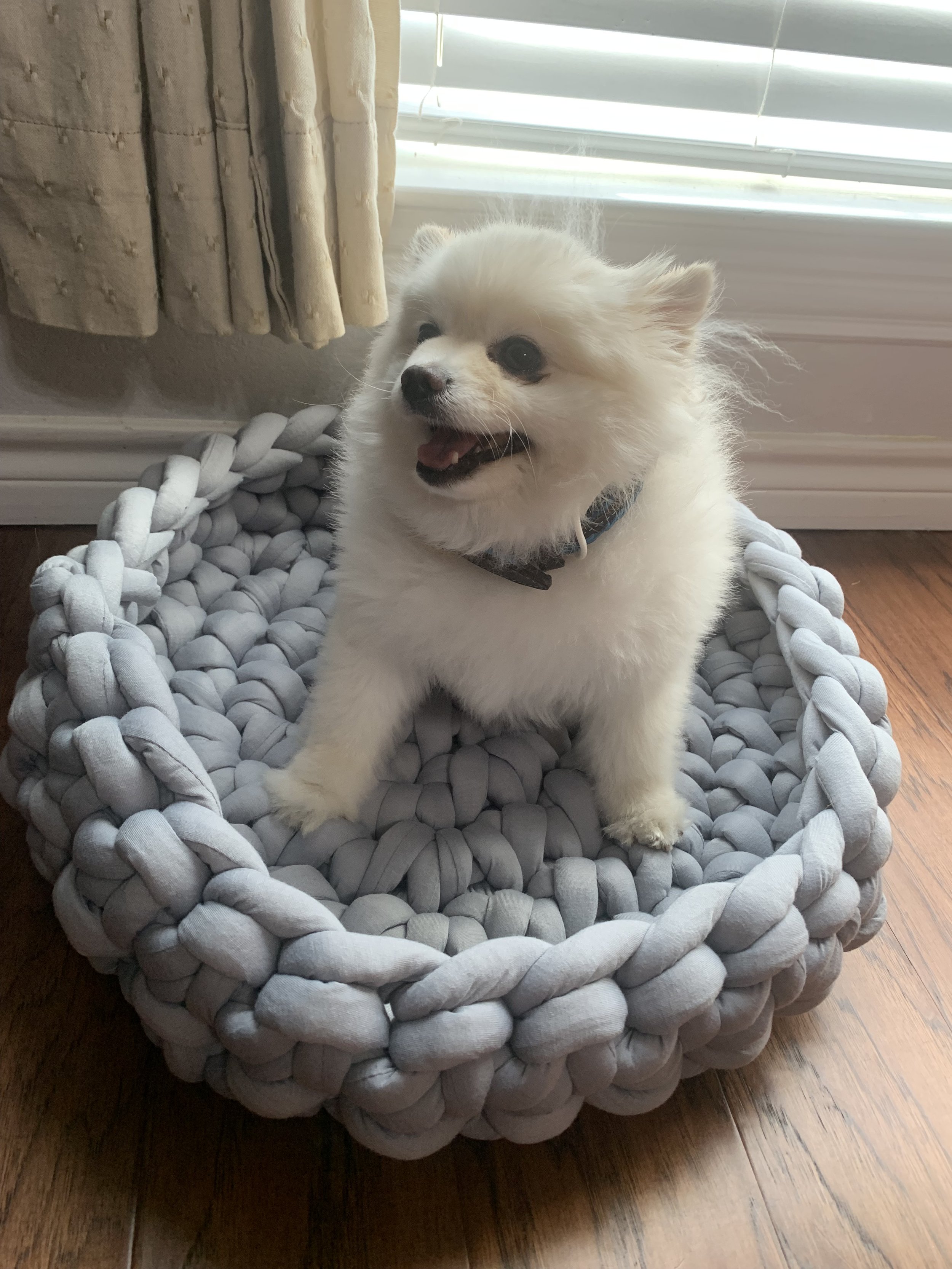 Snoop Loving His New Bed