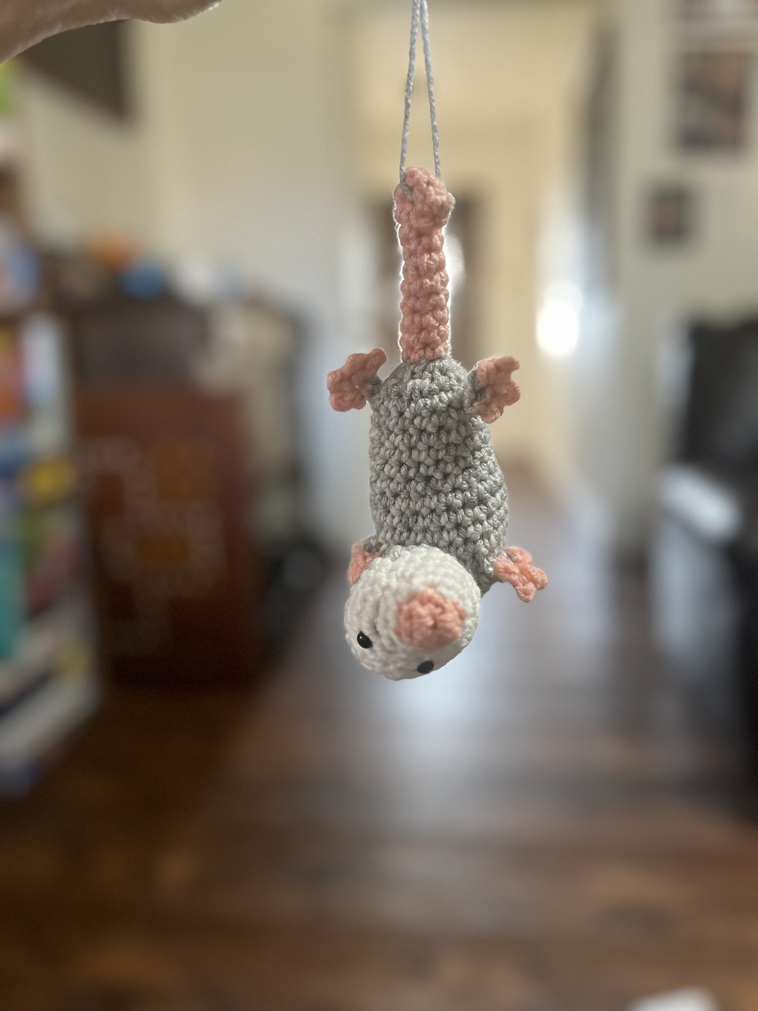 Possum