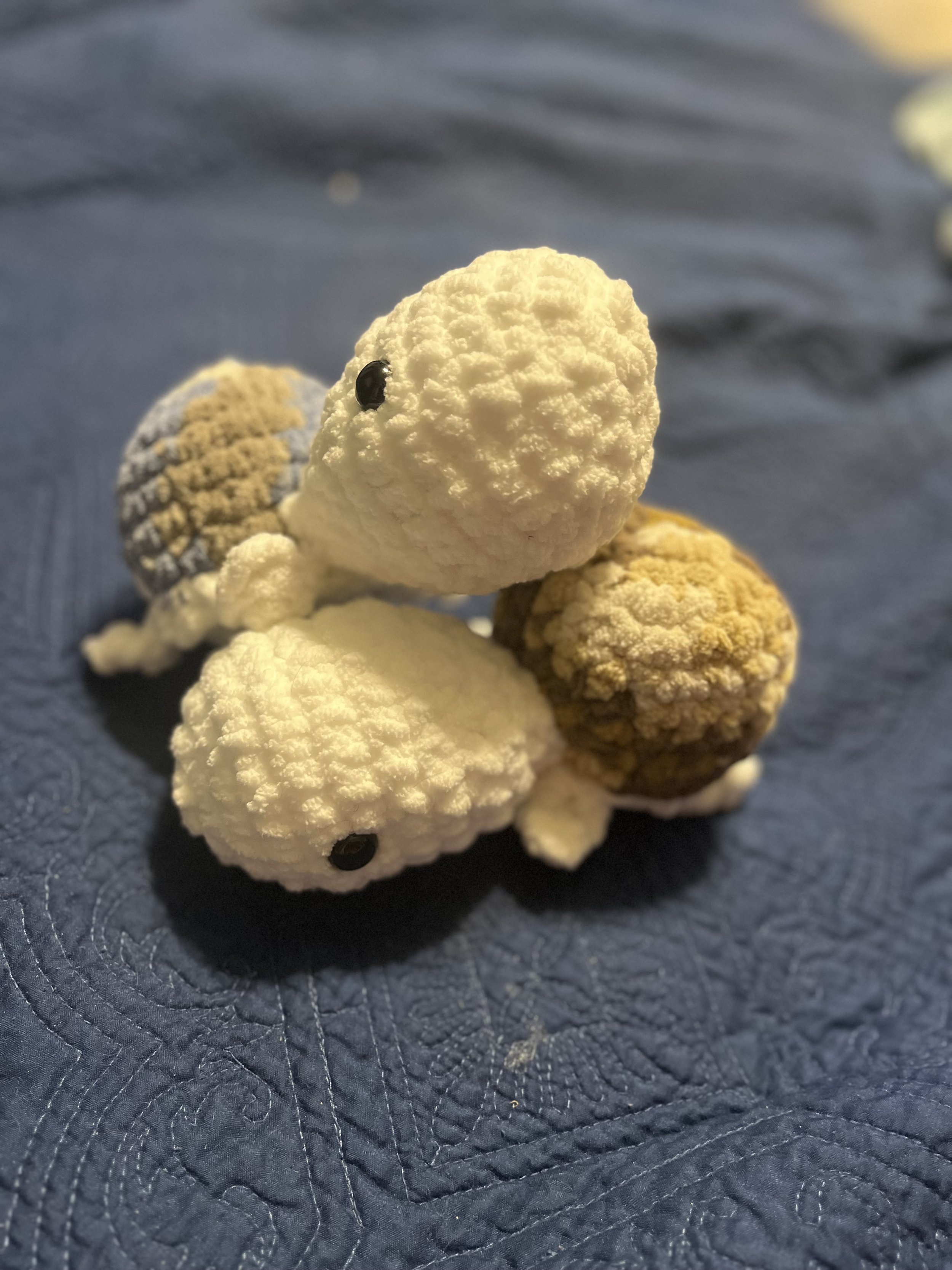 Big Head Turtles