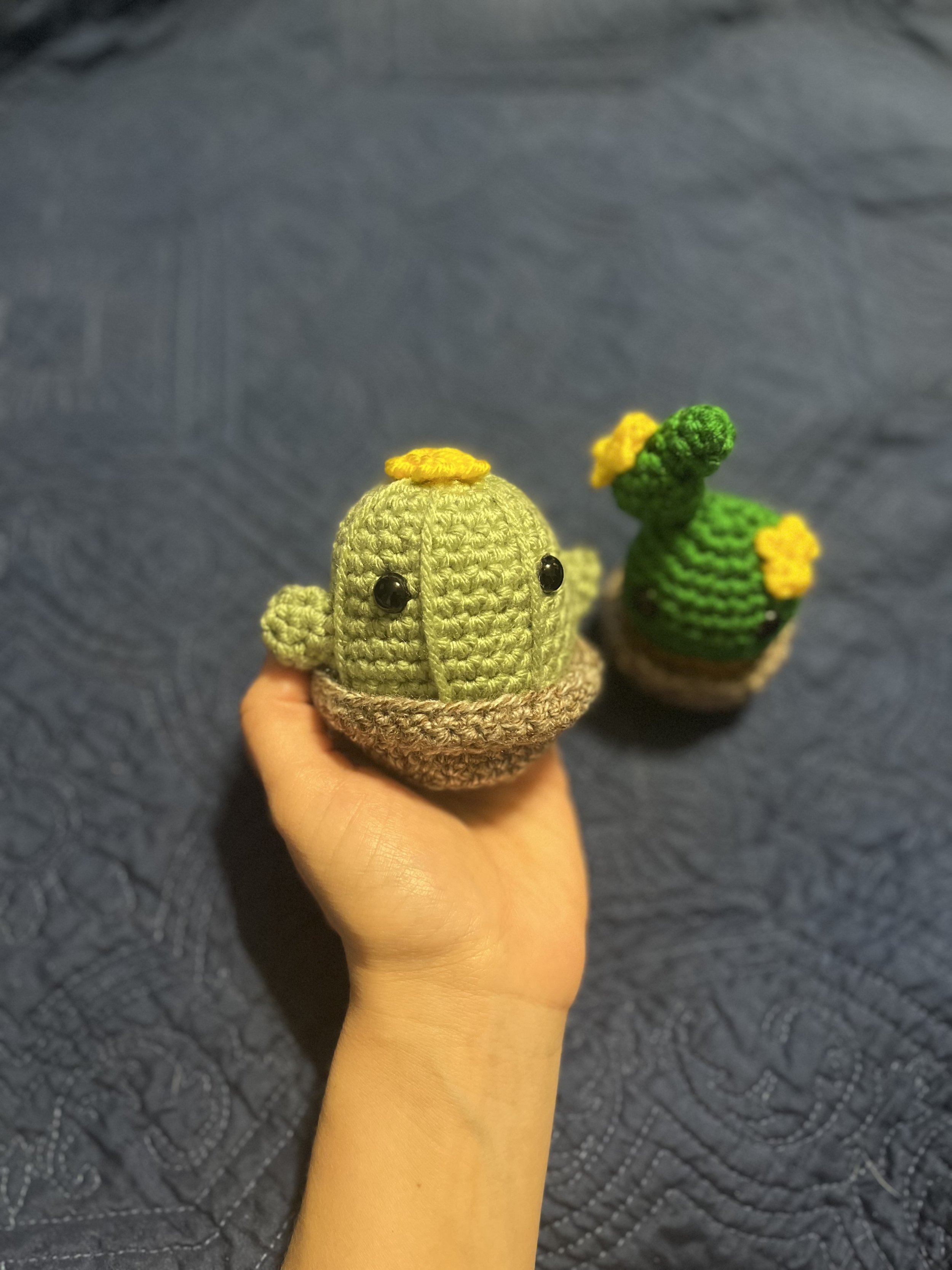Cactus