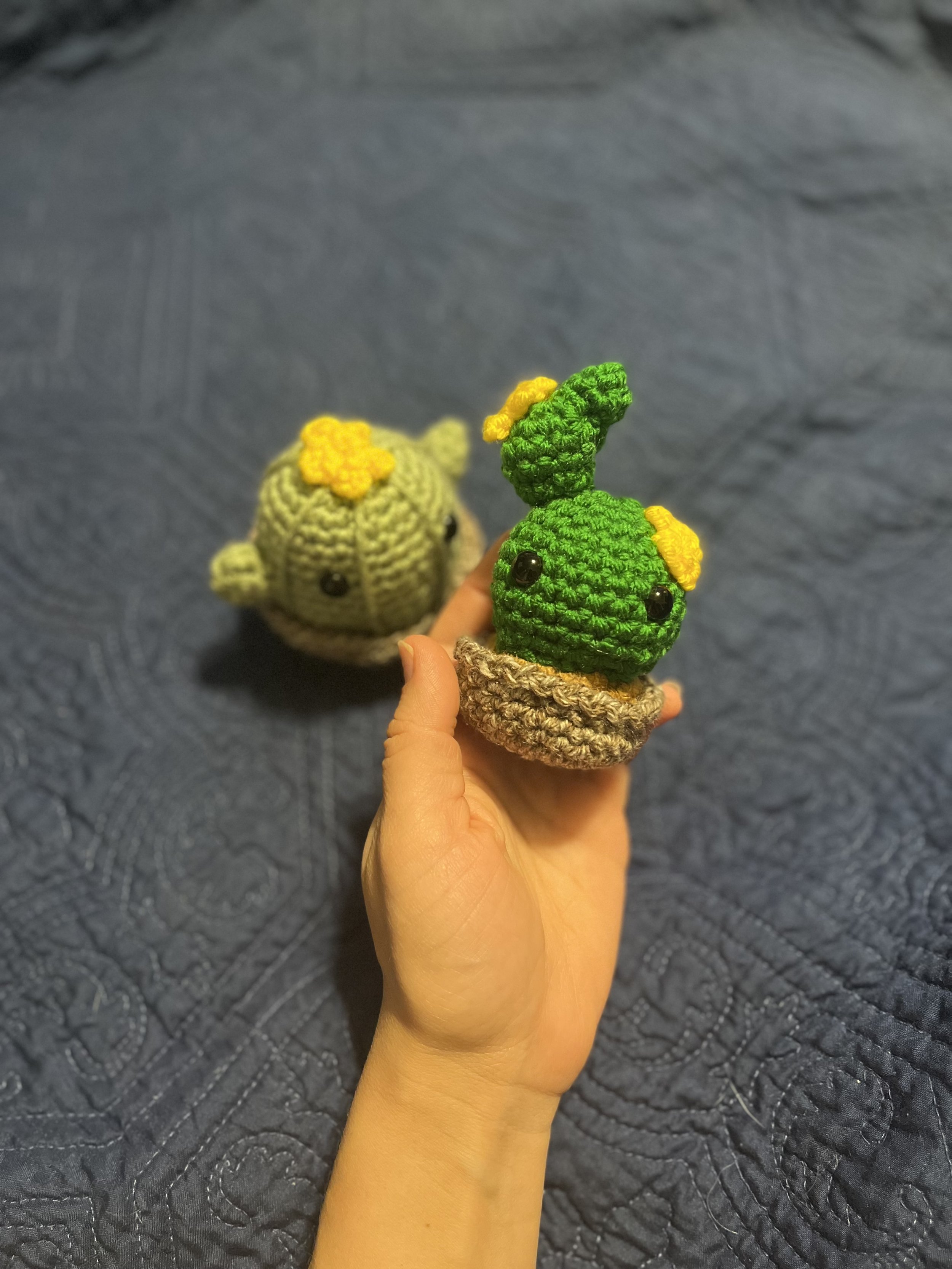 Cactus