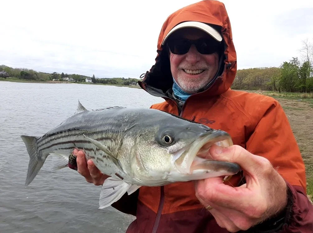 2024 Jeff Horwitz, Cogswell Grant Spring Striper.jpeg