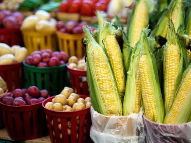 Higher Carb and Lower Carb Vegetables