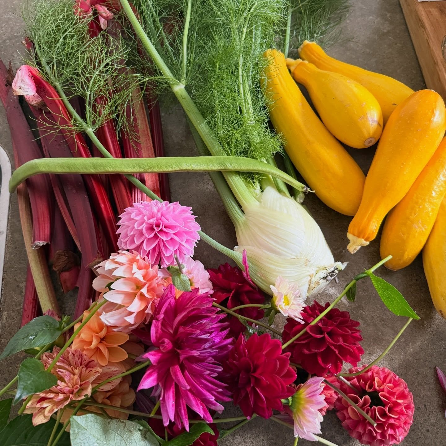 ✨ GLIMMERS &ndash; micro moments of joy 💛 Like many of you, I often feel overwhelmed by the state of the world right now and frustrated by the things I can&rsquo;t control.

Added to that the days to day things.

Being disappointed in myself&hellip;