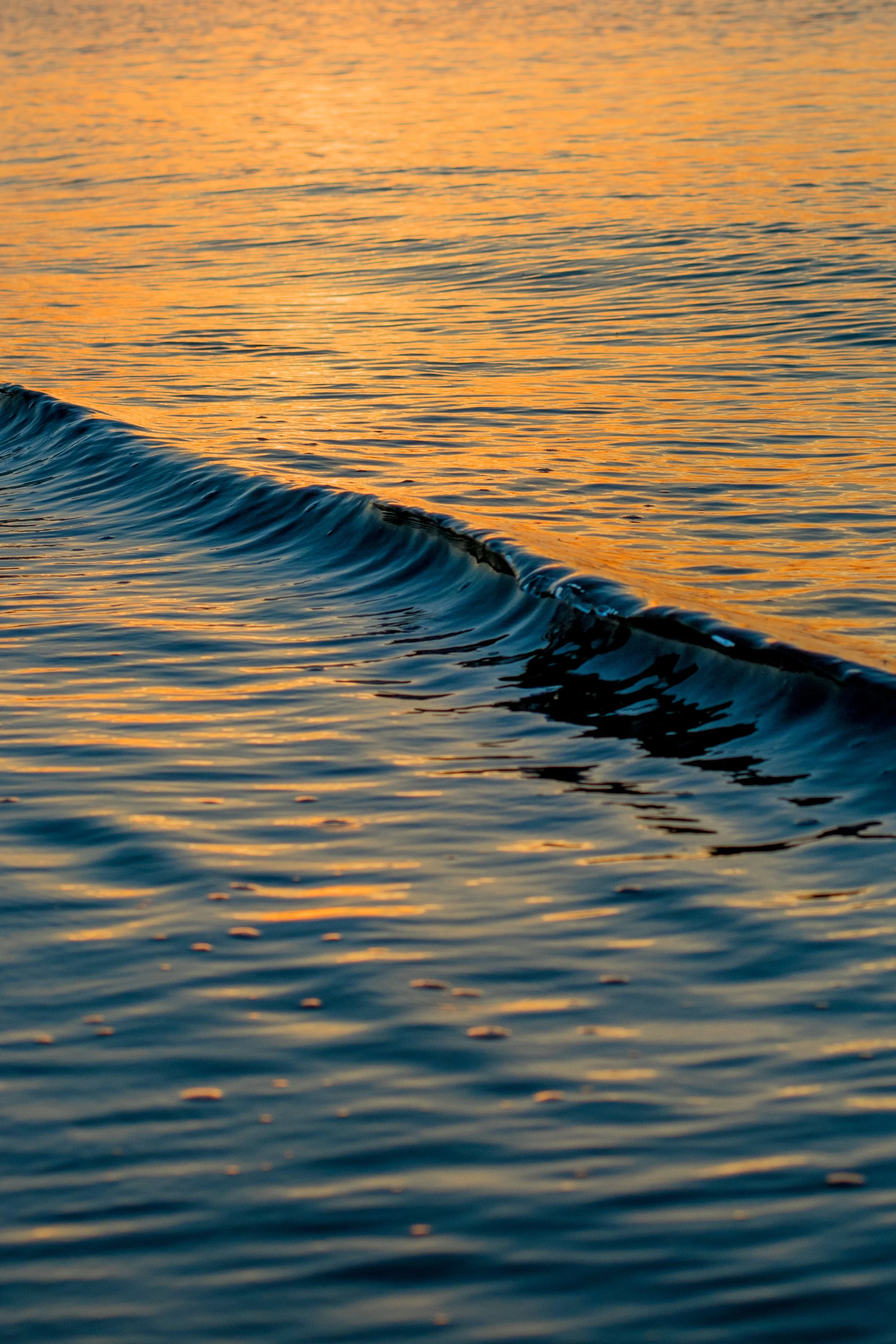 Calm ocean water at sunset with gentle waves and orange-yellow sky reflected on the water's surface.