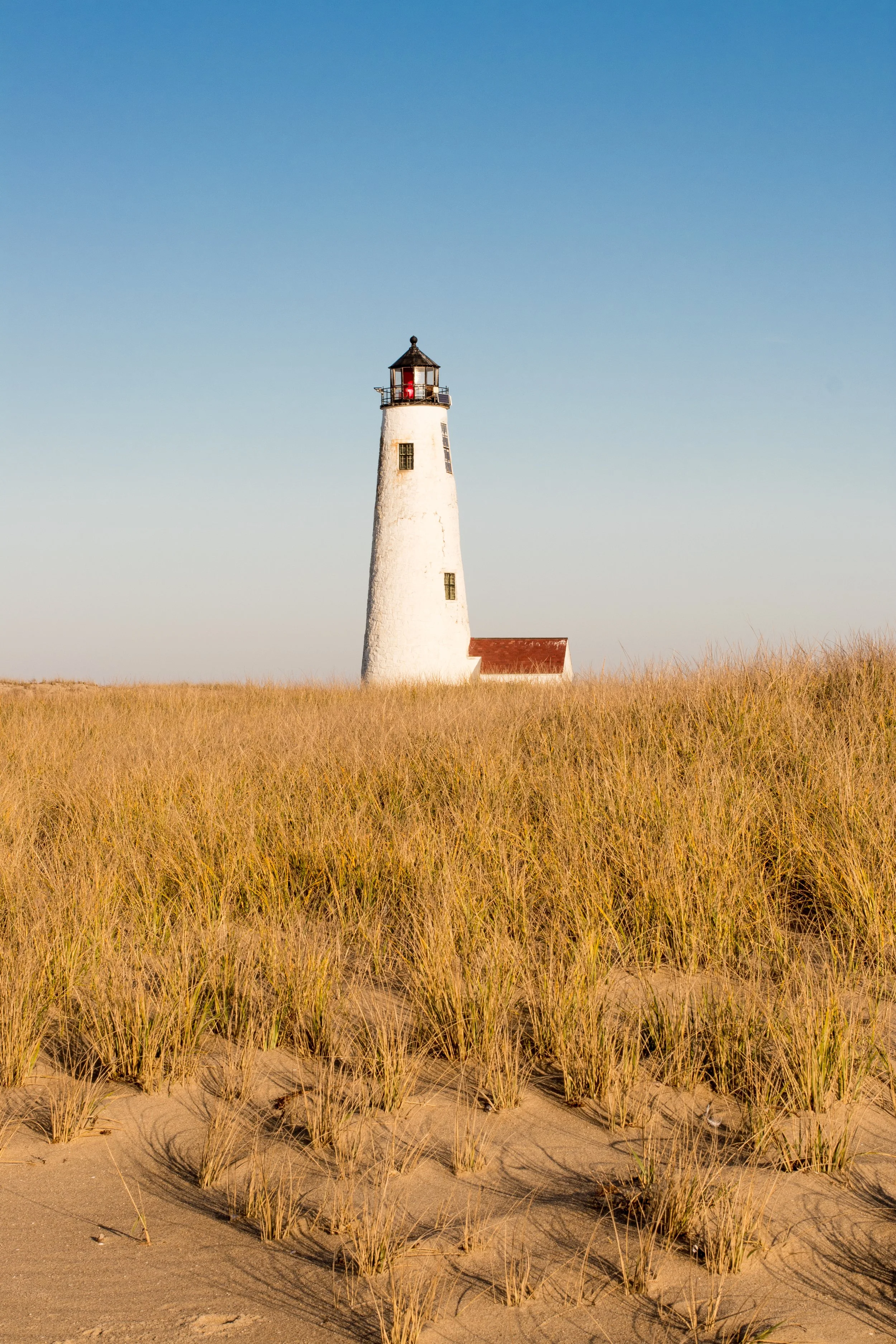 Lighthouse on sandy beach with tall grass in foreground and clear blue sky.
