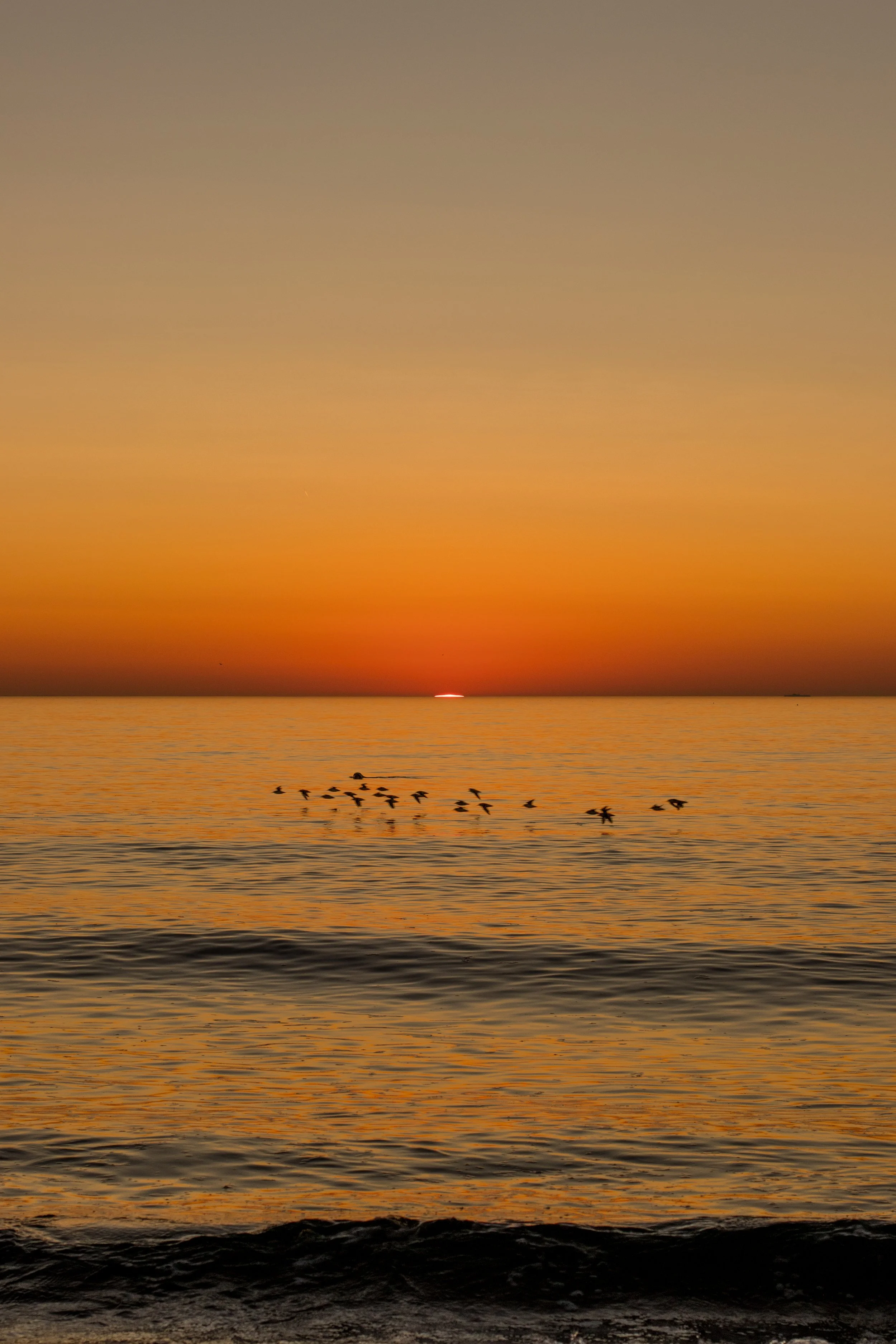 Sunset over the ocean with a flock of birds flying over the water.