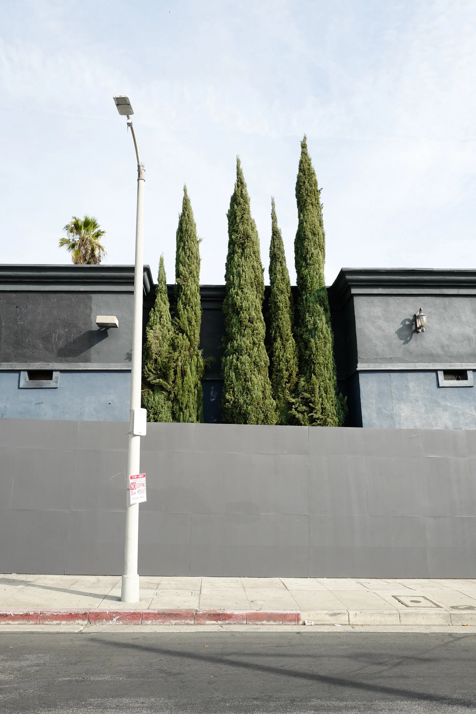 Tall, slender cypress trees against a dark building, with a sidewalk and street in the foreground and a tall streetlight.