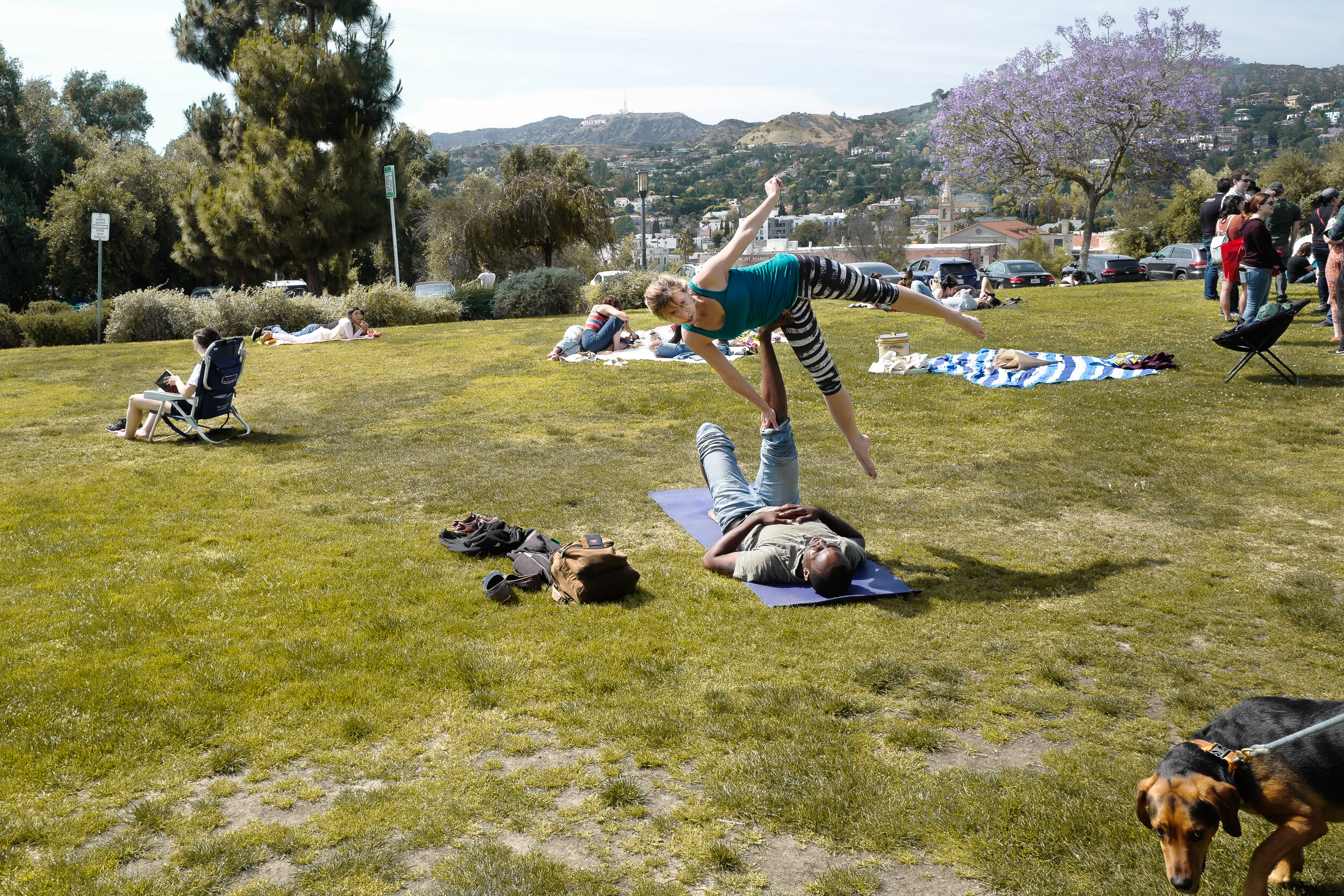 People practicing acro Yoga outdoors on a grassy field with scenic hills and trees in the background, some sitting on towels, others standing in line.