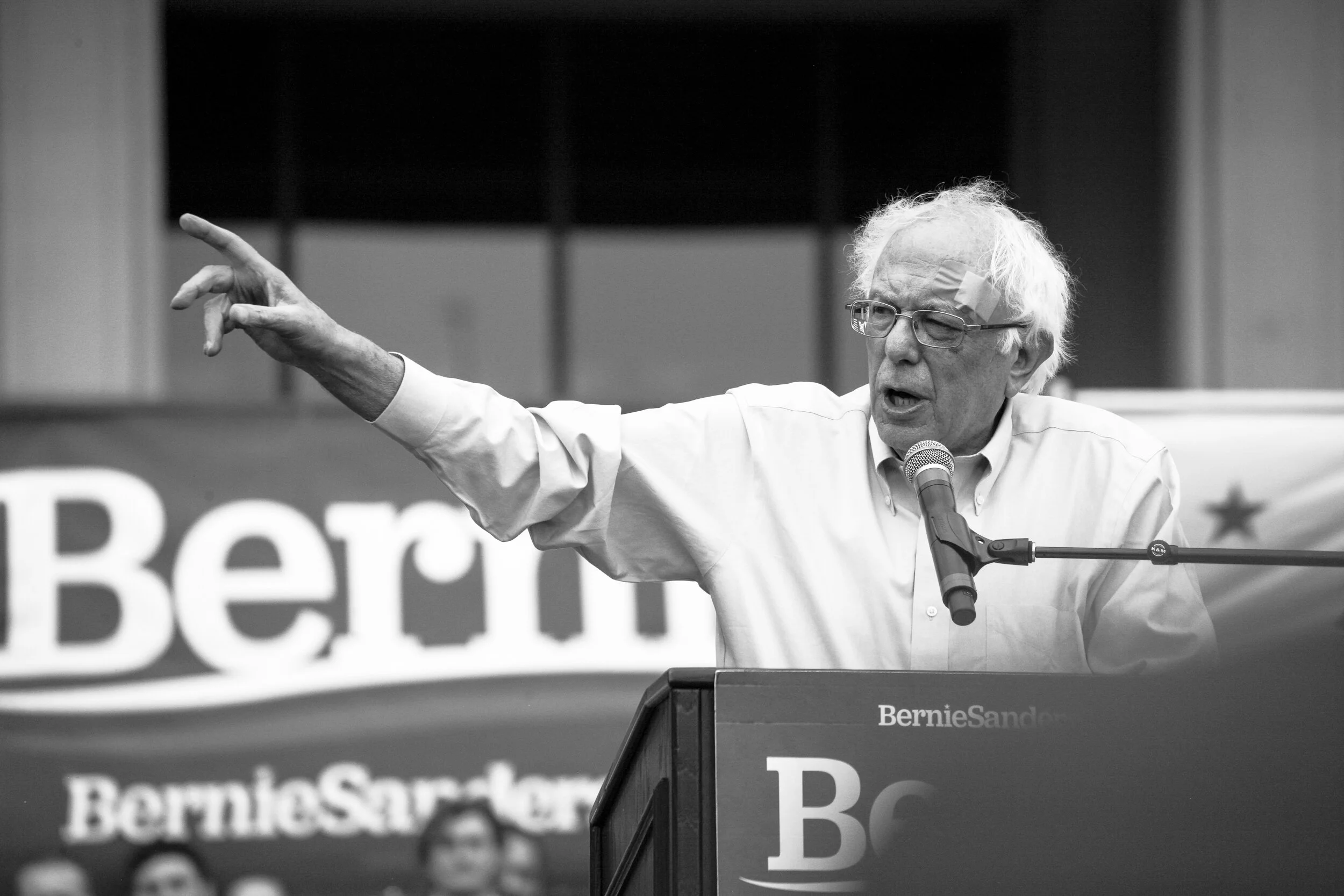 5BernieIMG_1813LR.jpg