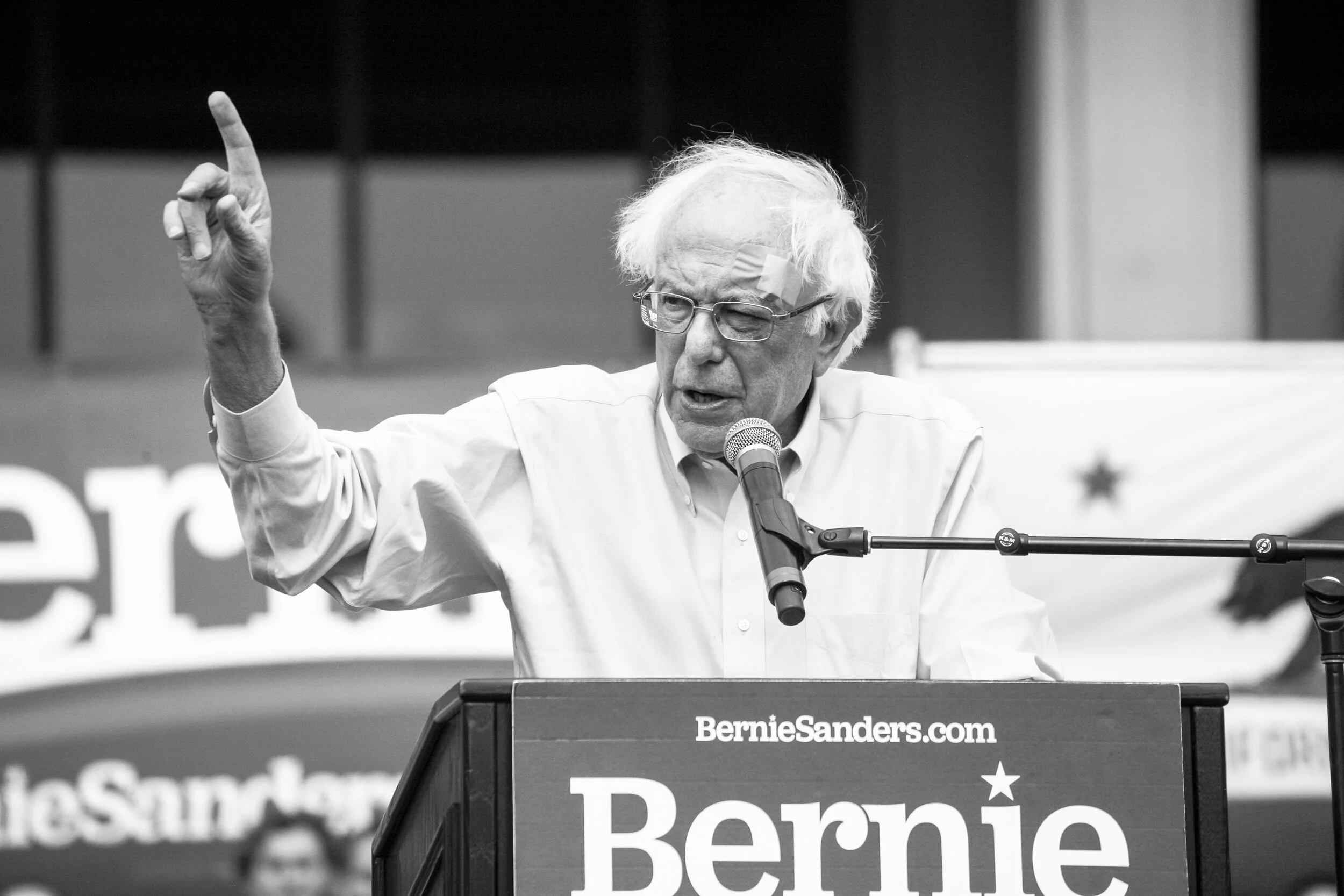 9BernieIMG_1782LR.jpg