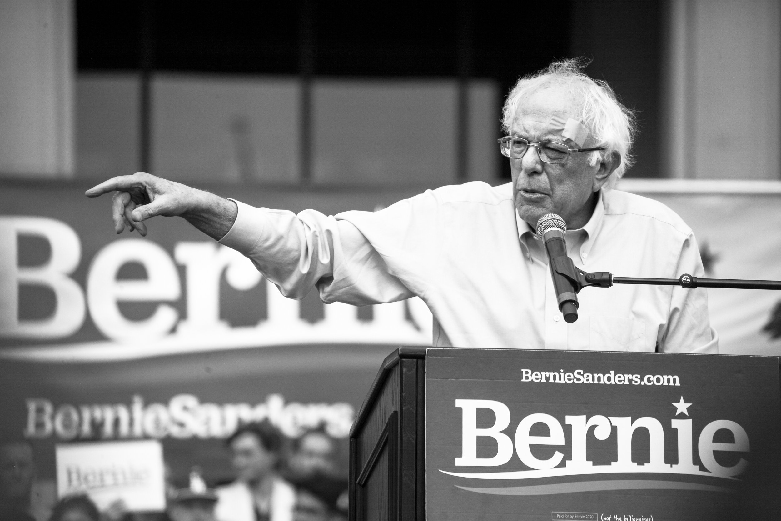13BernieIMG_1798LR.jpg