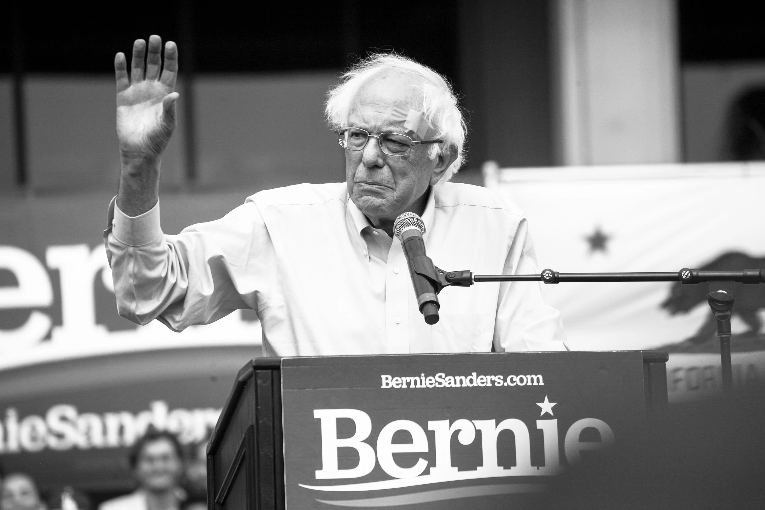 17BernieIMG_1781LR.jpg