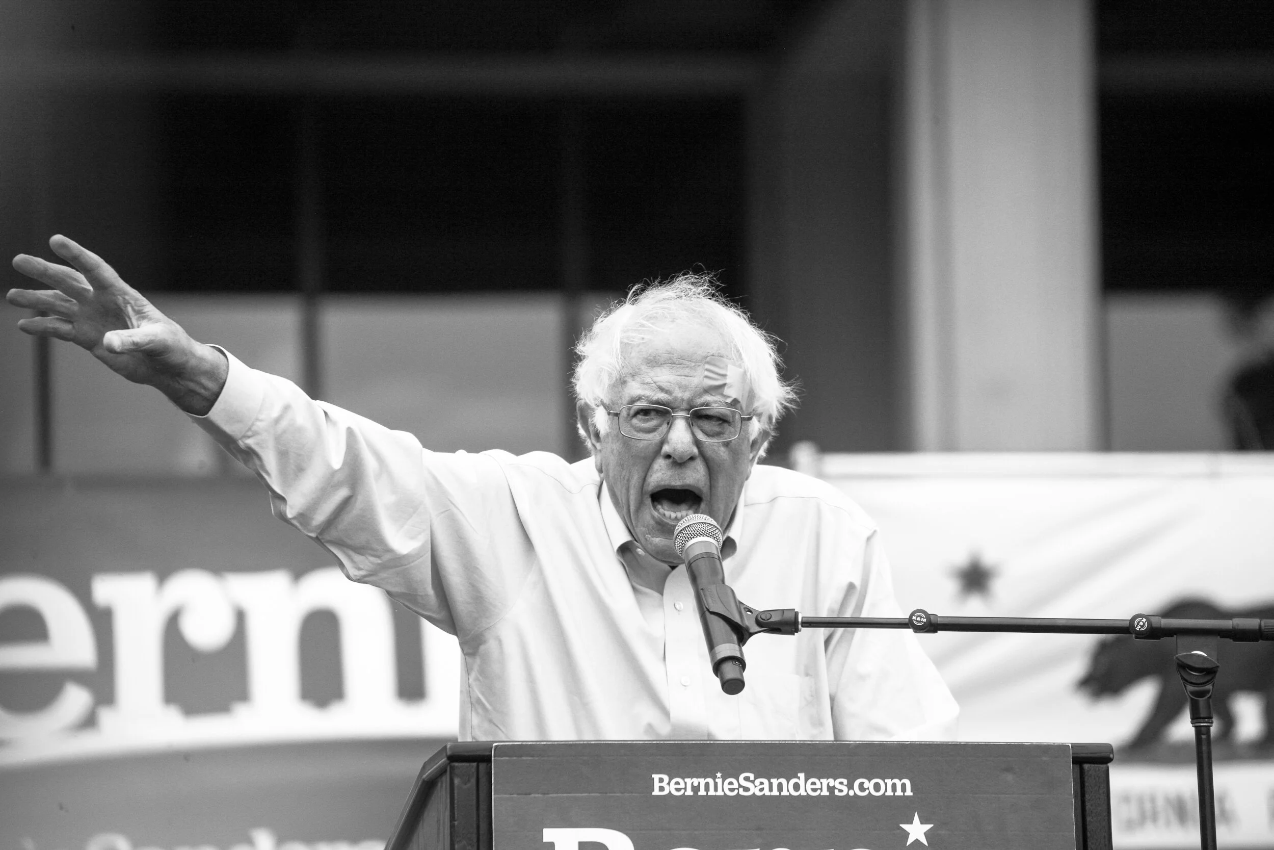 21BernieIMG_1808LR.jpg