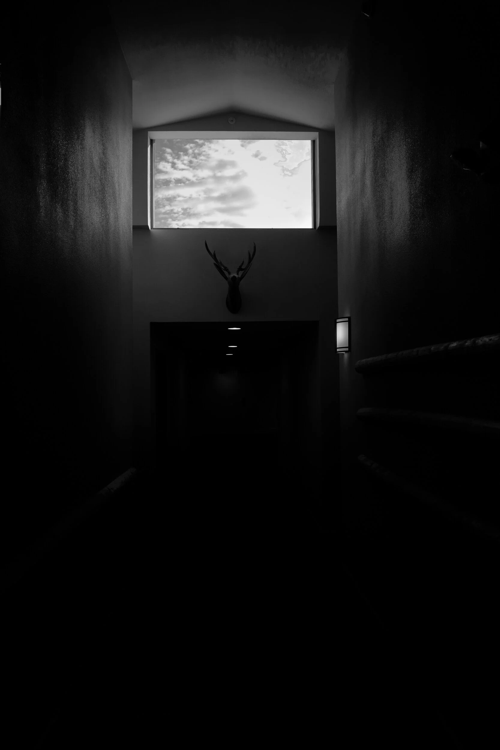 10SurrealL1180723-2.jpg