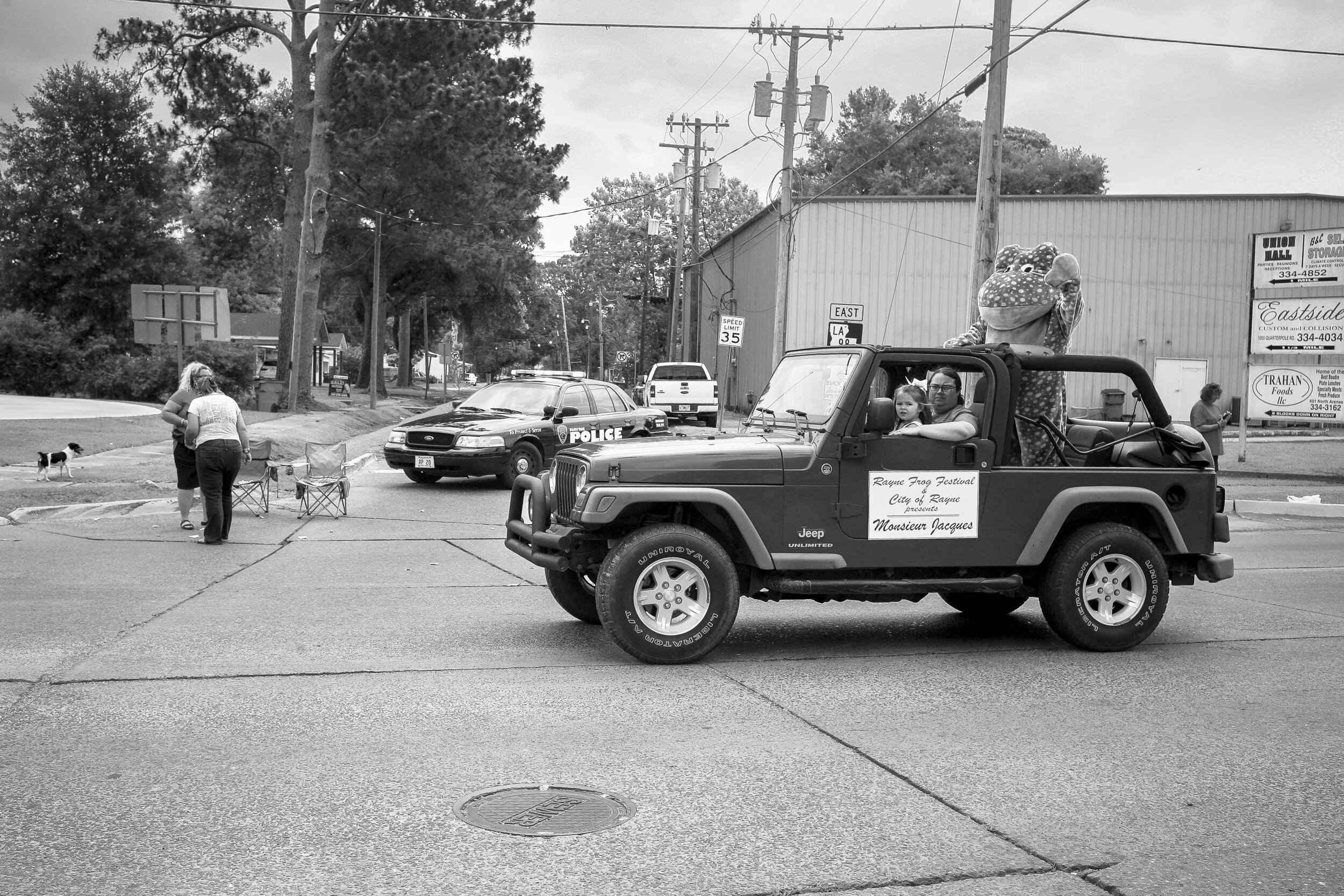 17frogsIMG_6252LR.jpg