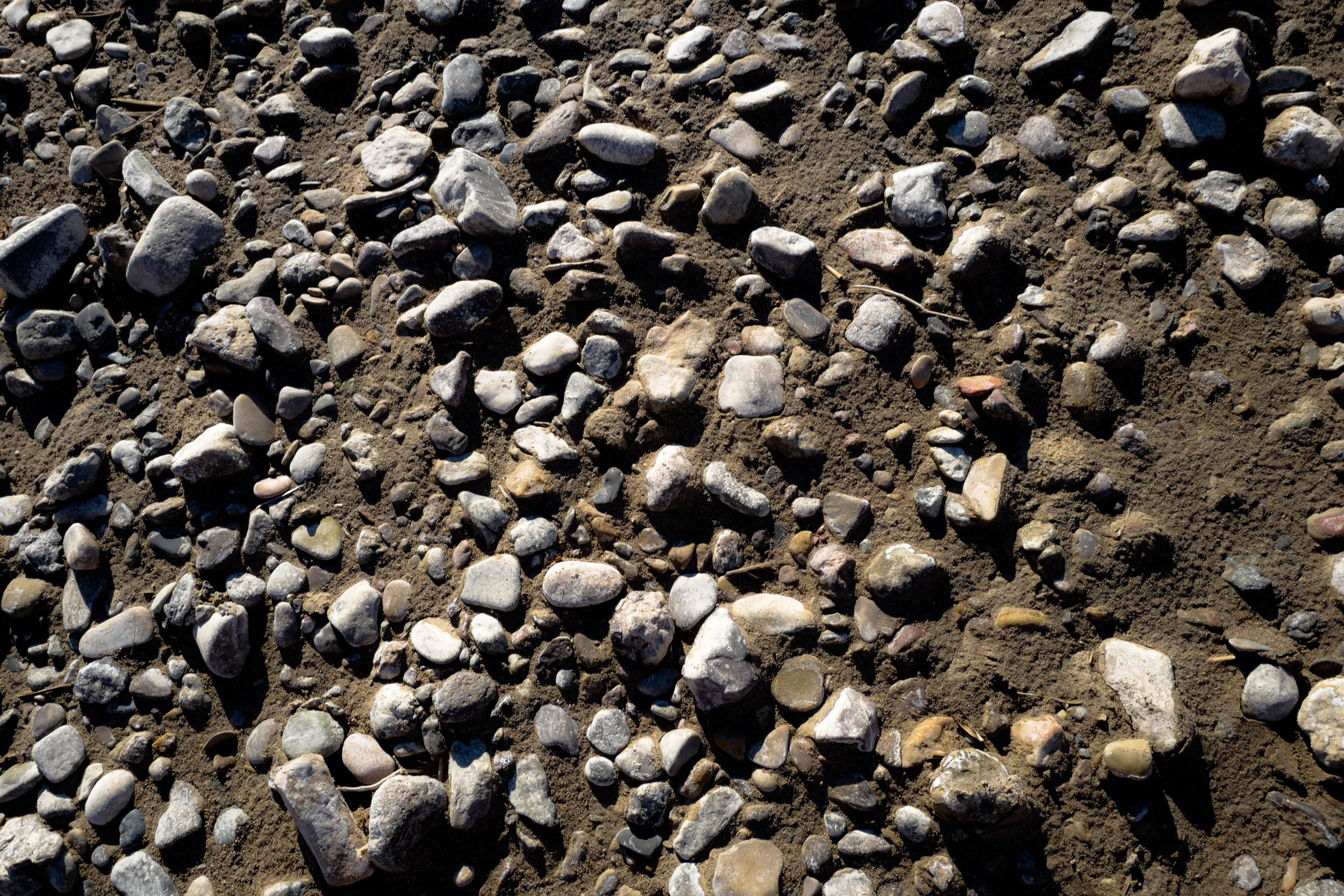 36SWRTL1370893 - CopyLR.jpg